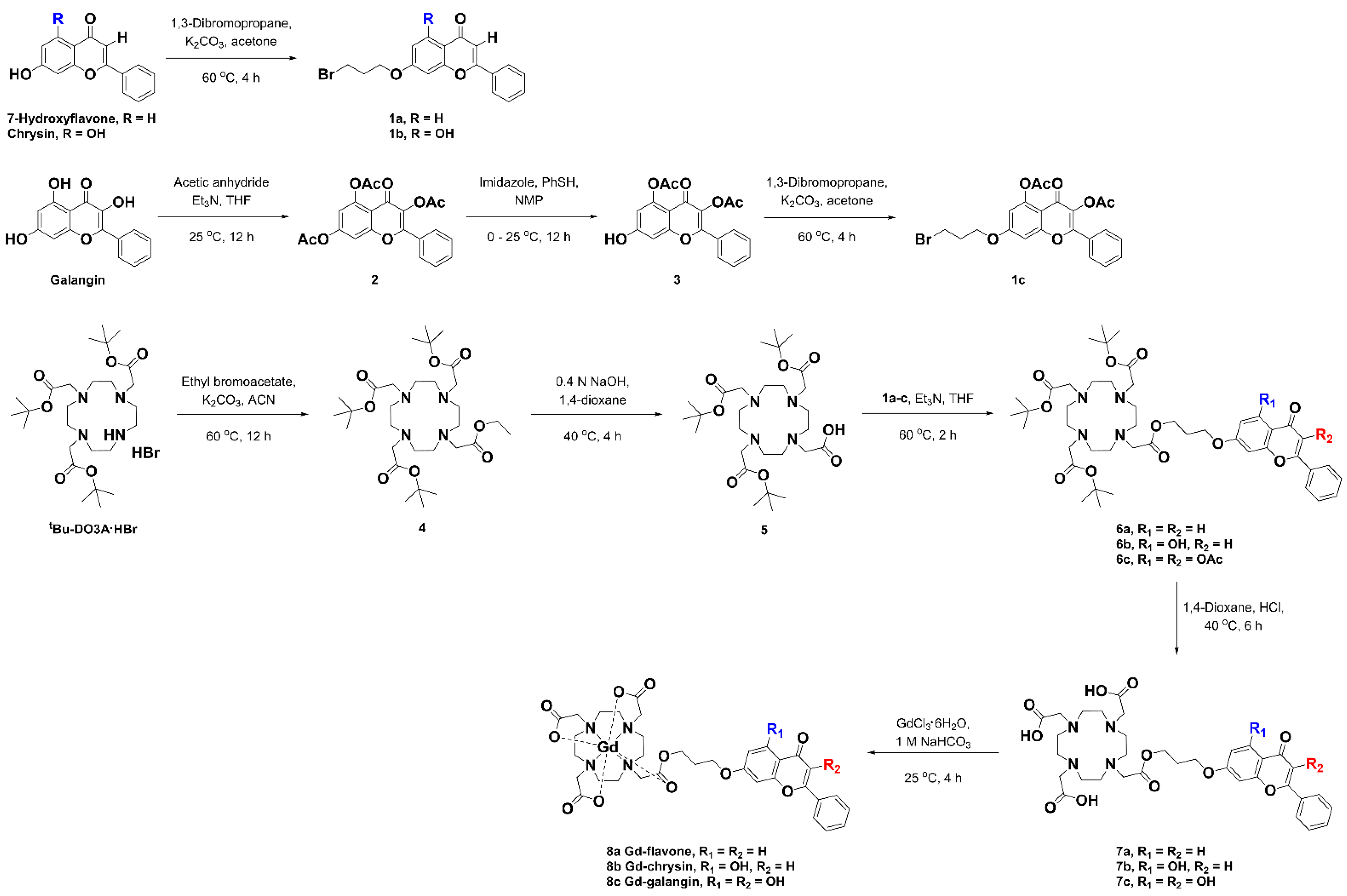 Antioxidants 11 02470 g001