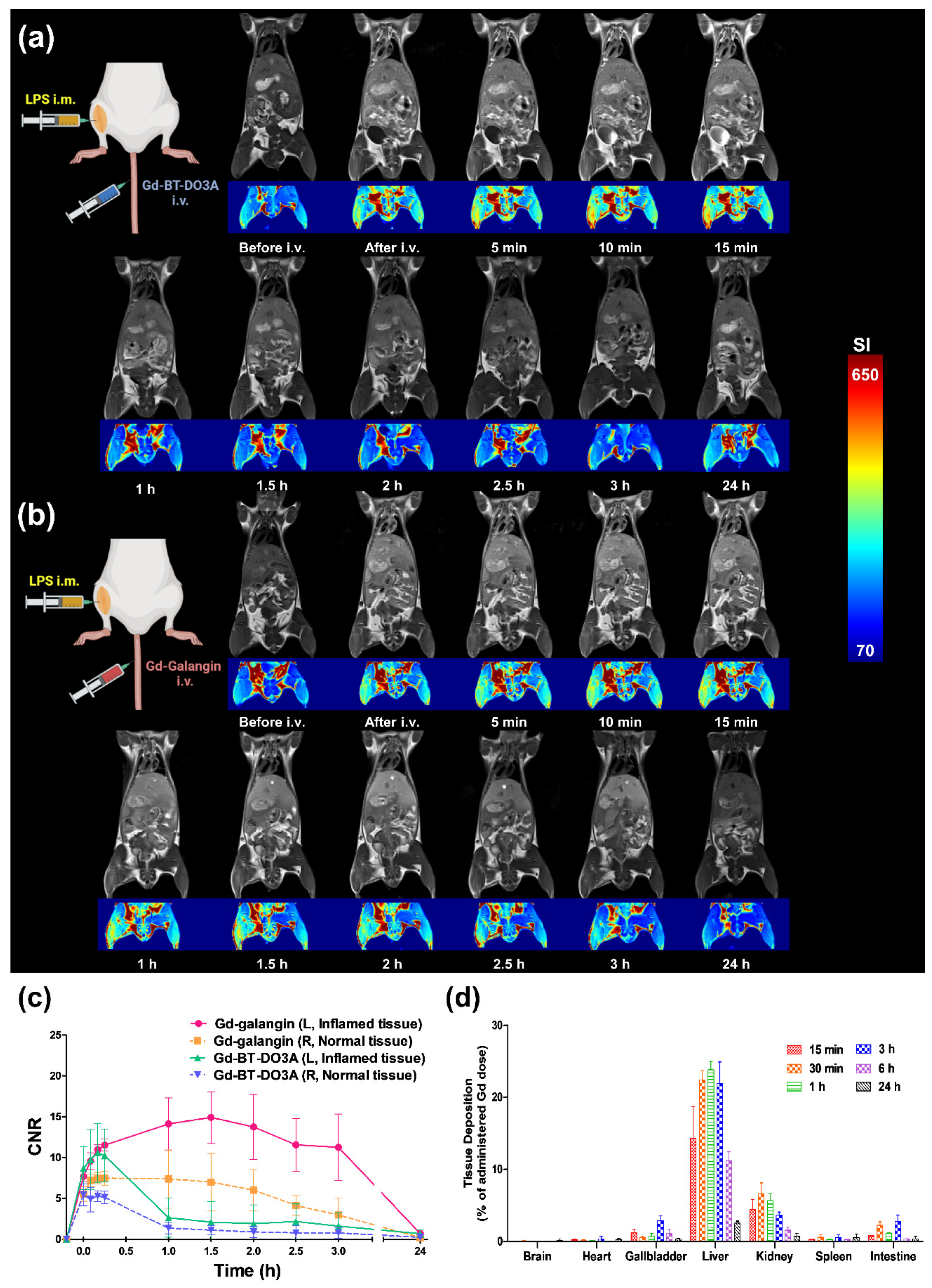 Antioxidants 11 02470 g004