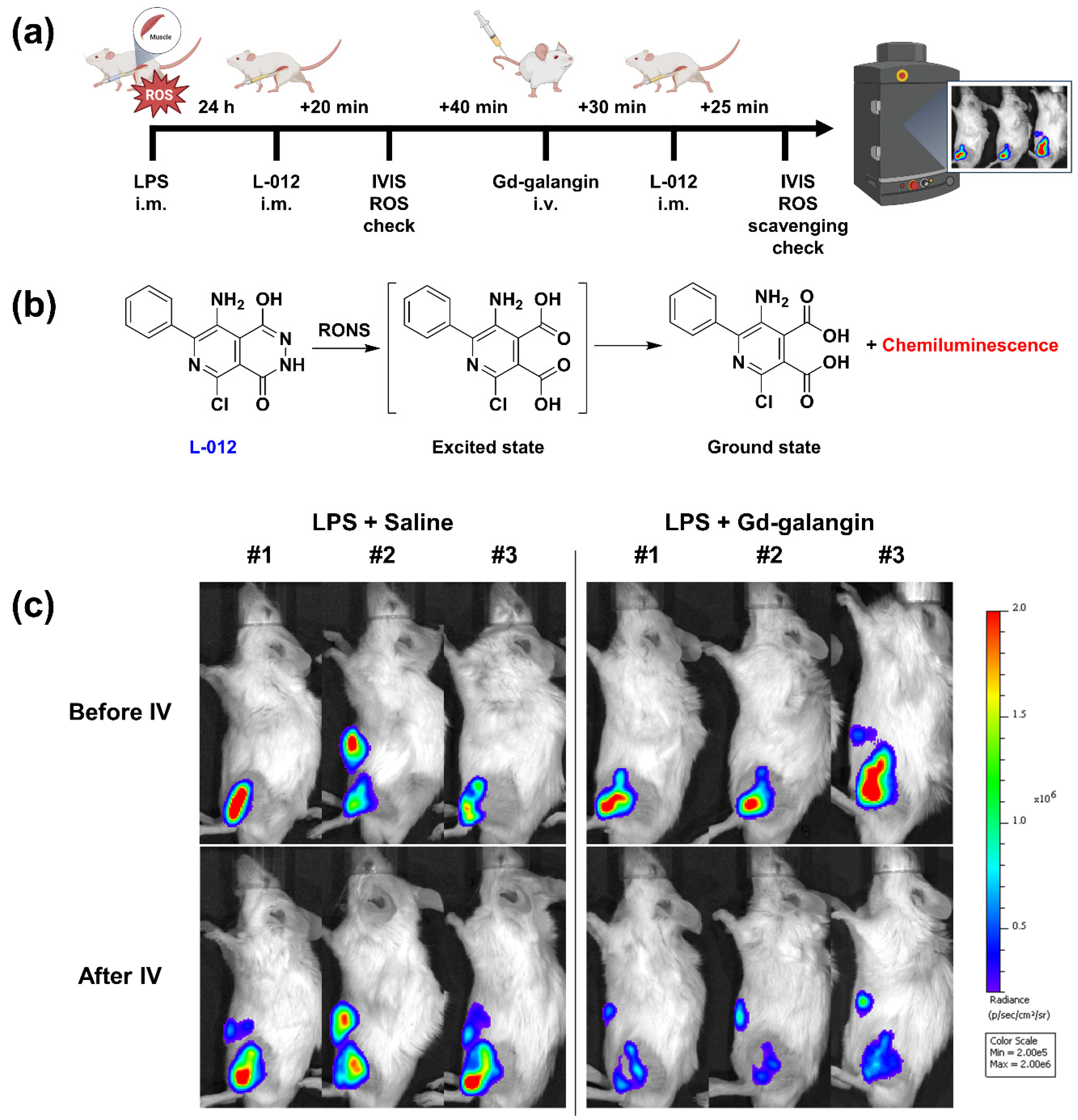 Antioxidants 11 02470 g005
