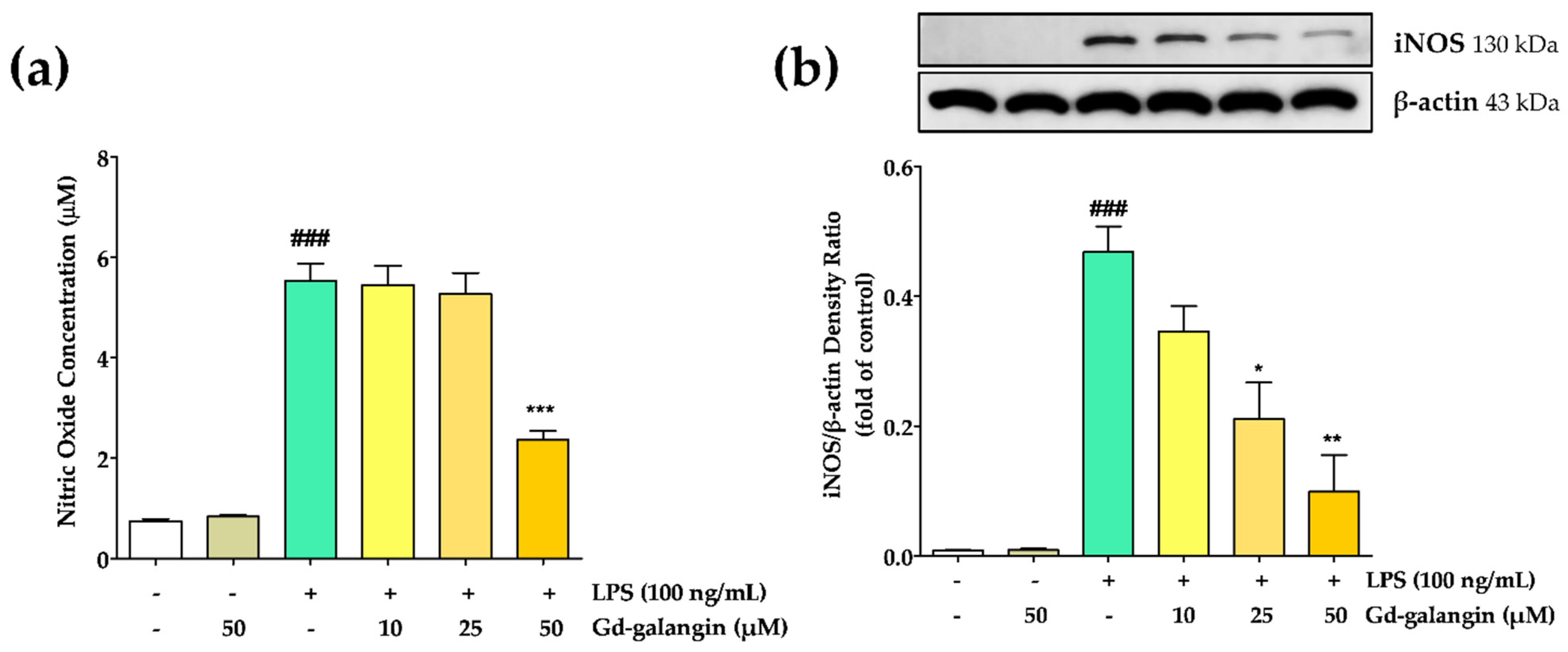 Antioxidants 11 02470 g006