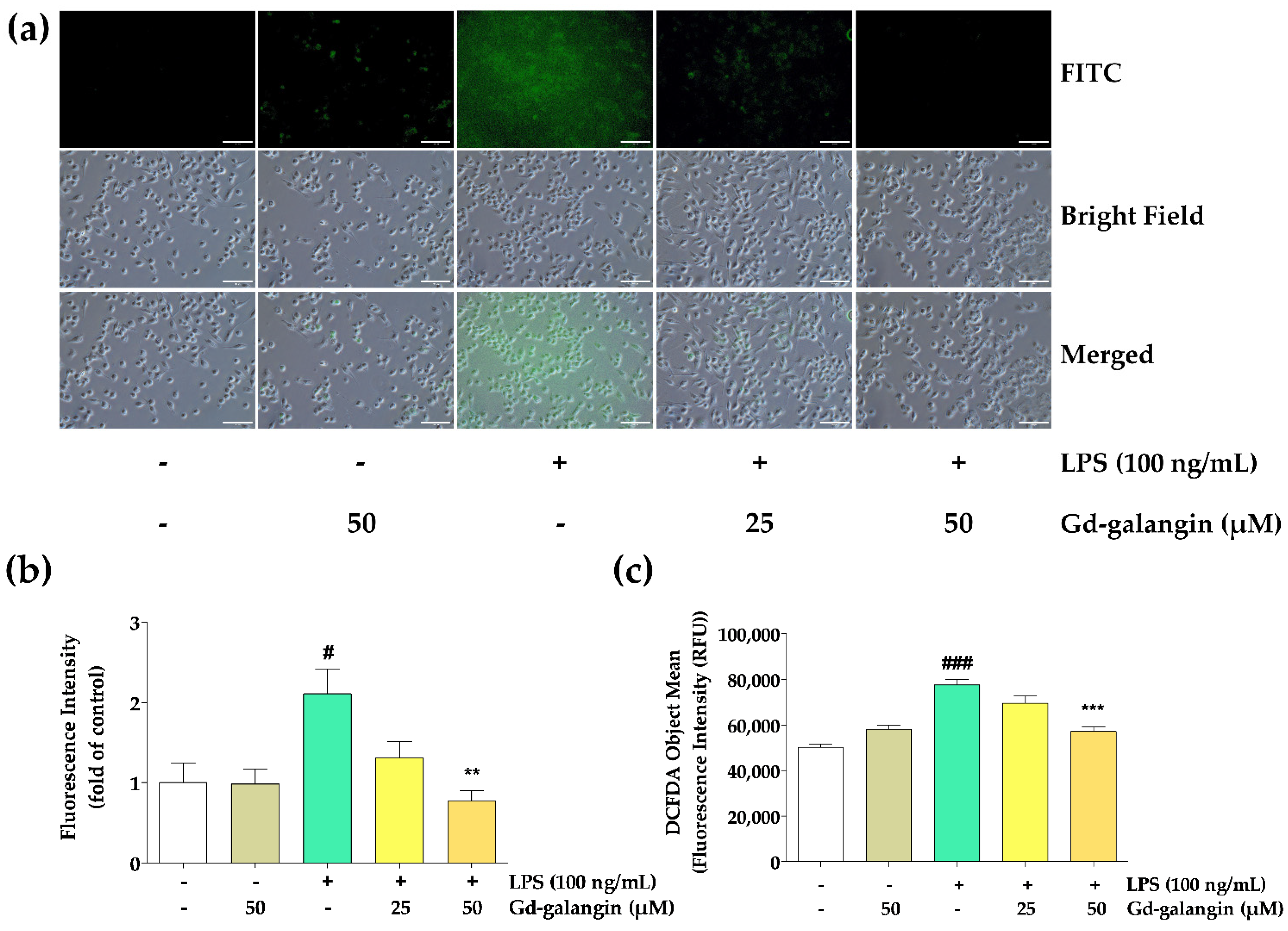 Antioxidants 11 02470 g007