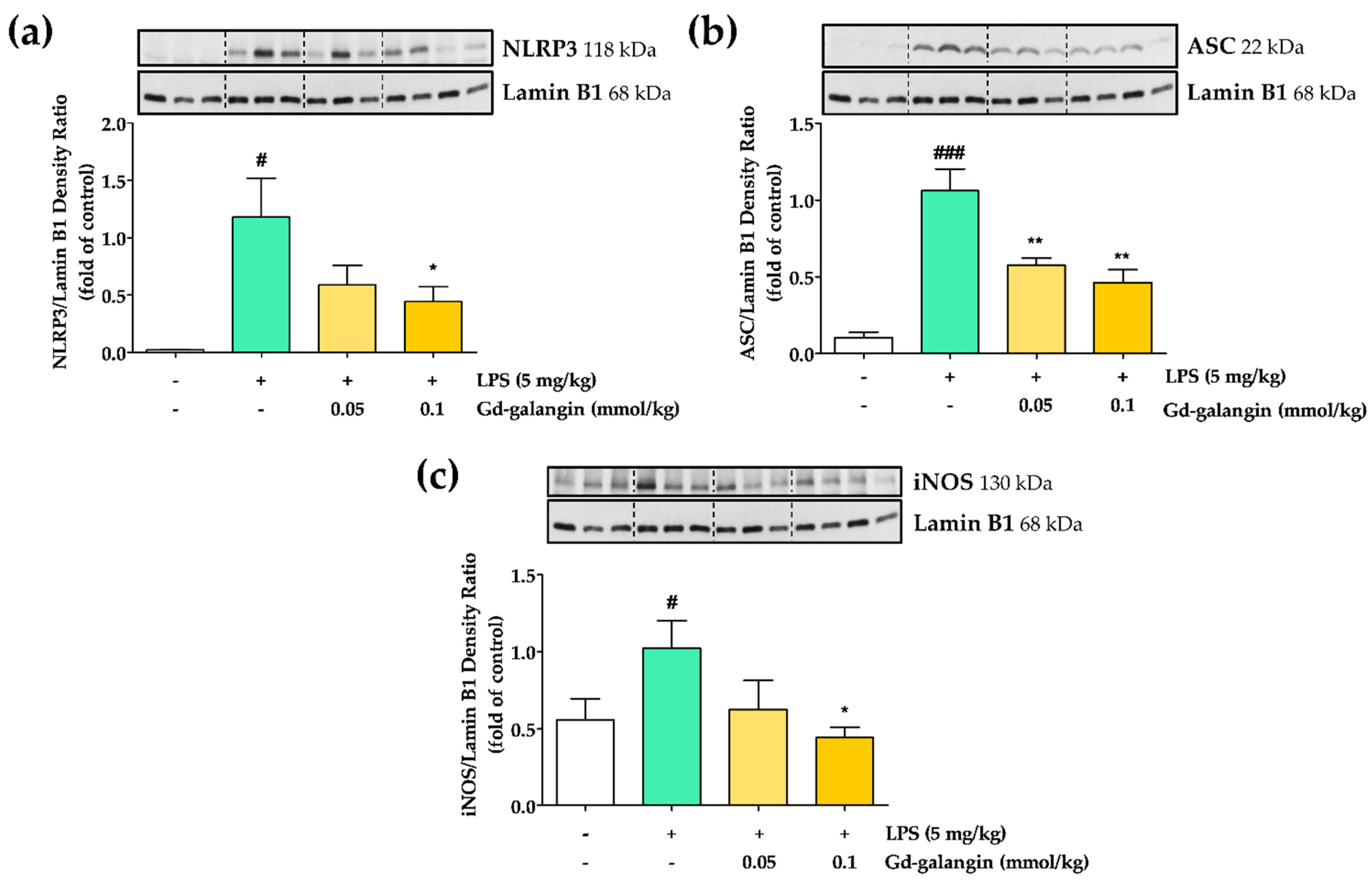 Antioxidants 11 02470 g009