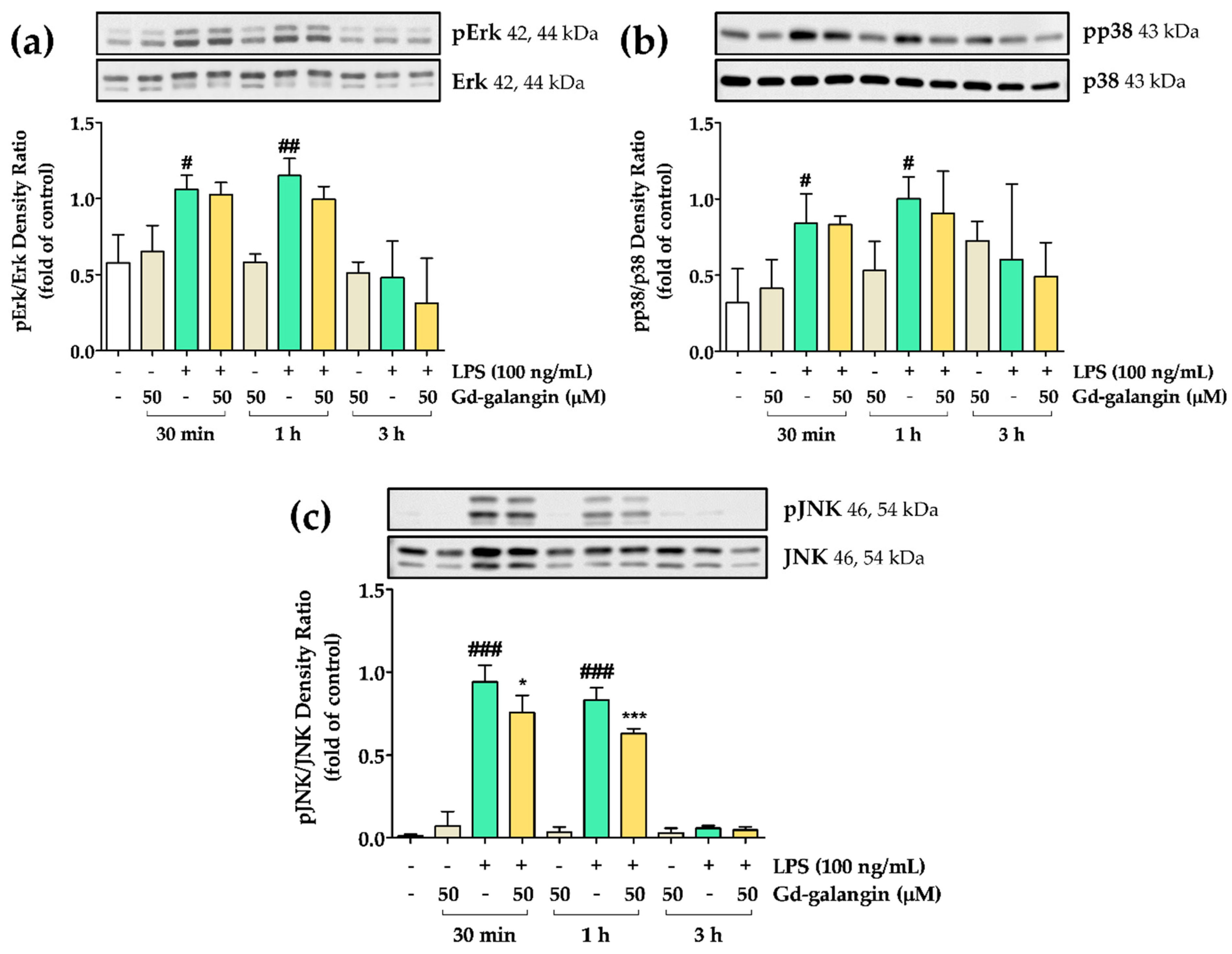 Antioxidants 11 02470 g010
