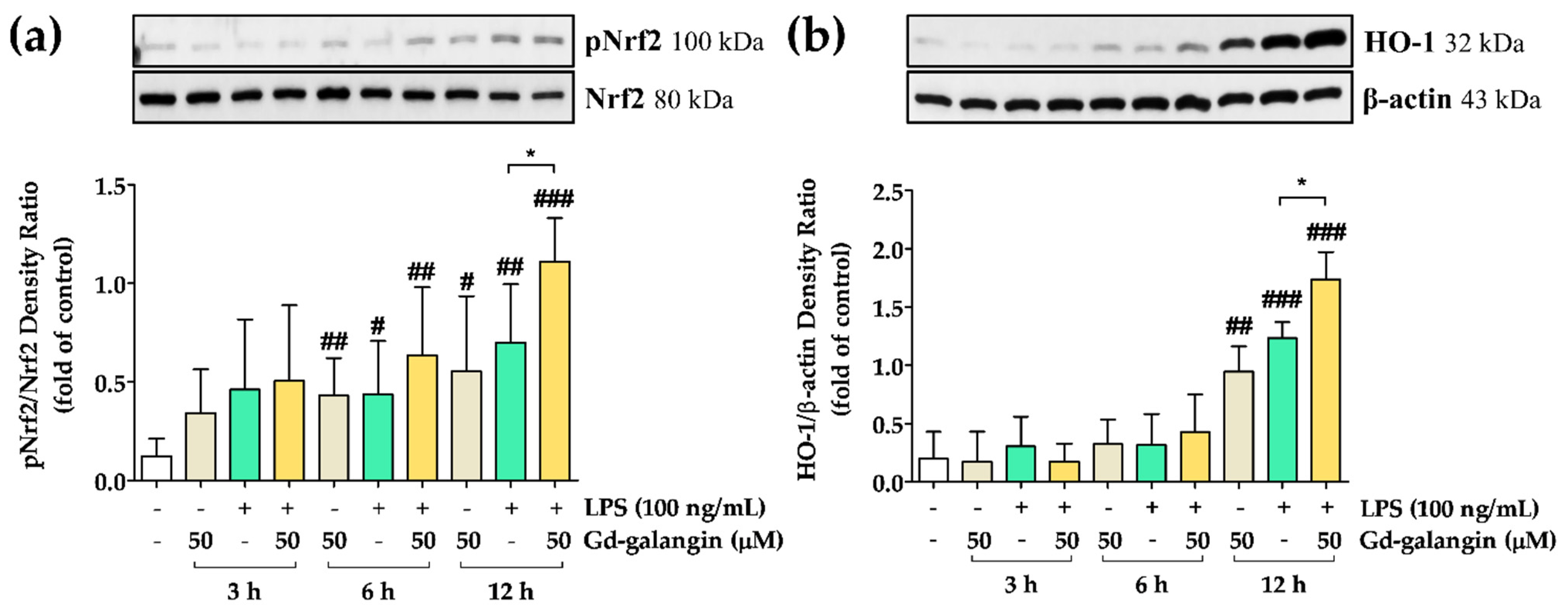 Antioxidants 11 02470 g012