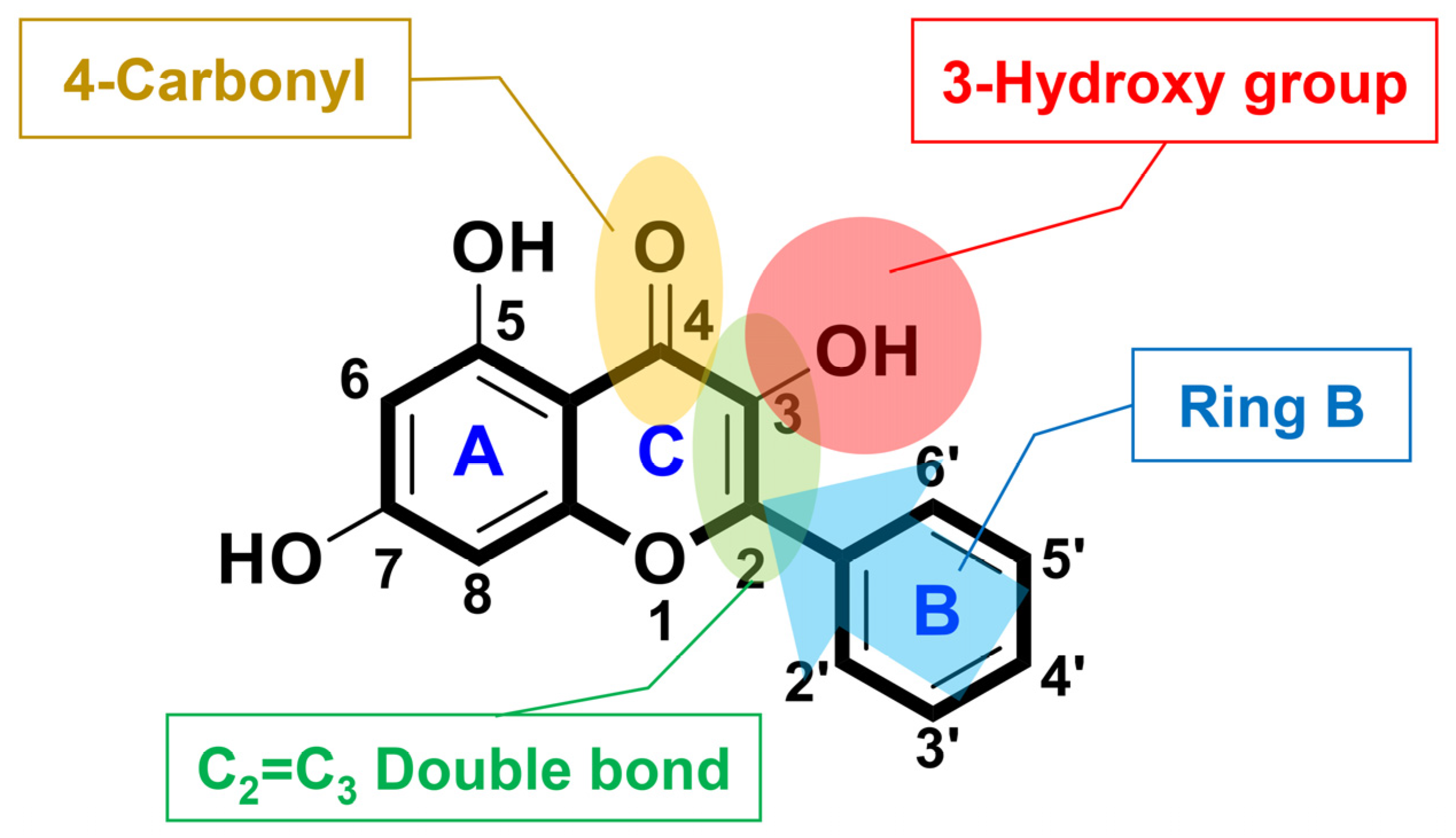Antioxidants 11 02470 g013