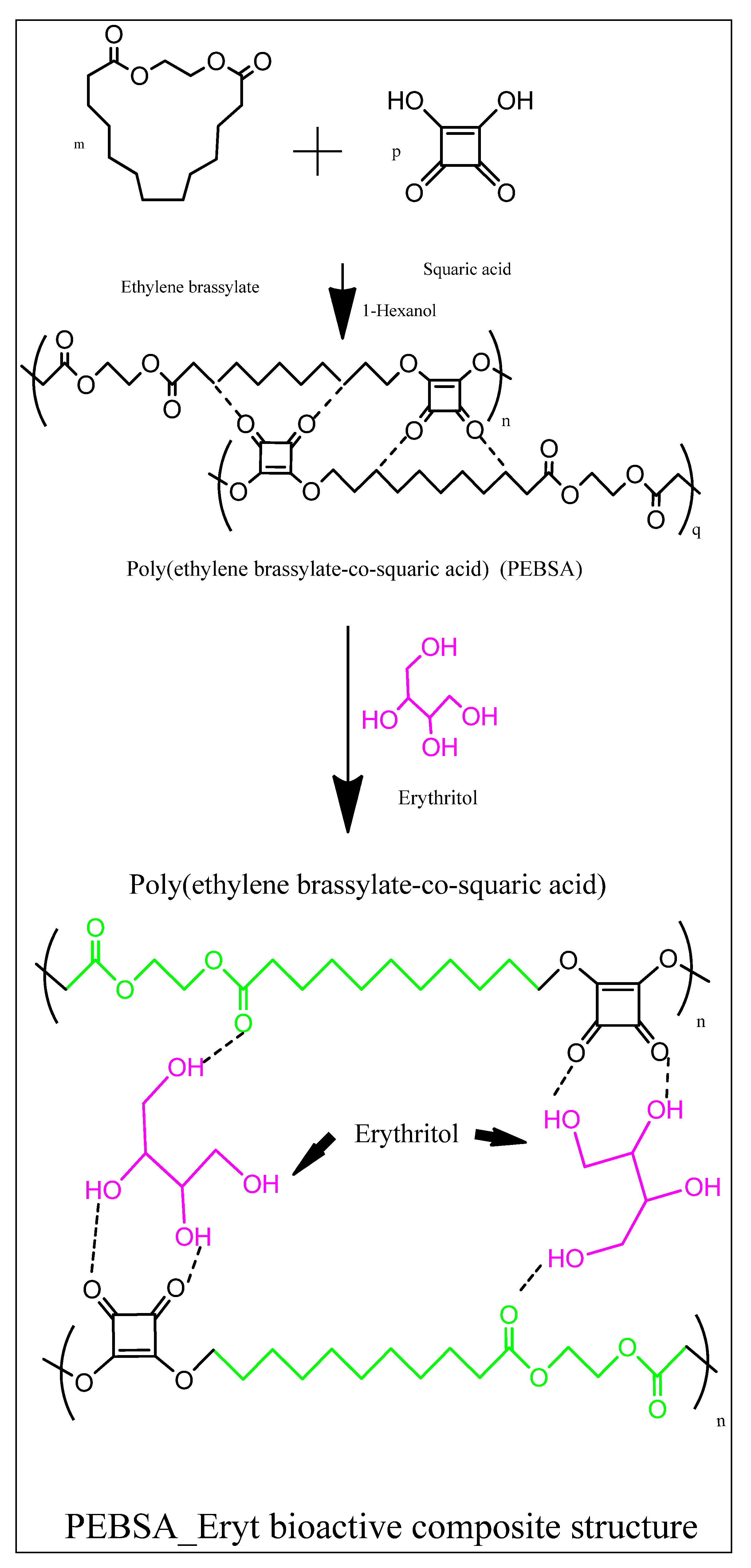 Antioxidants 11 02471 g005