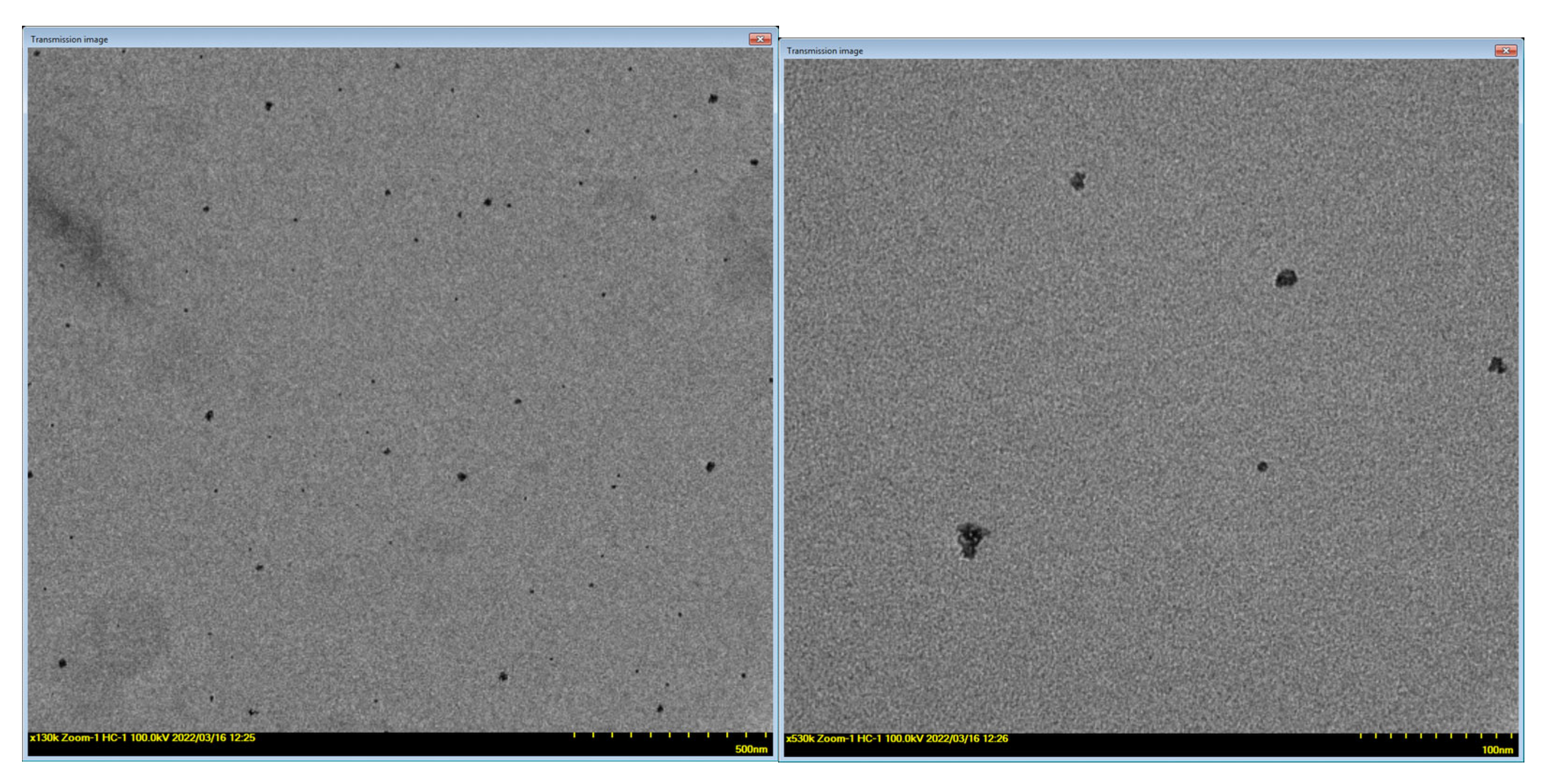 Antioxidants 11 02471 g010