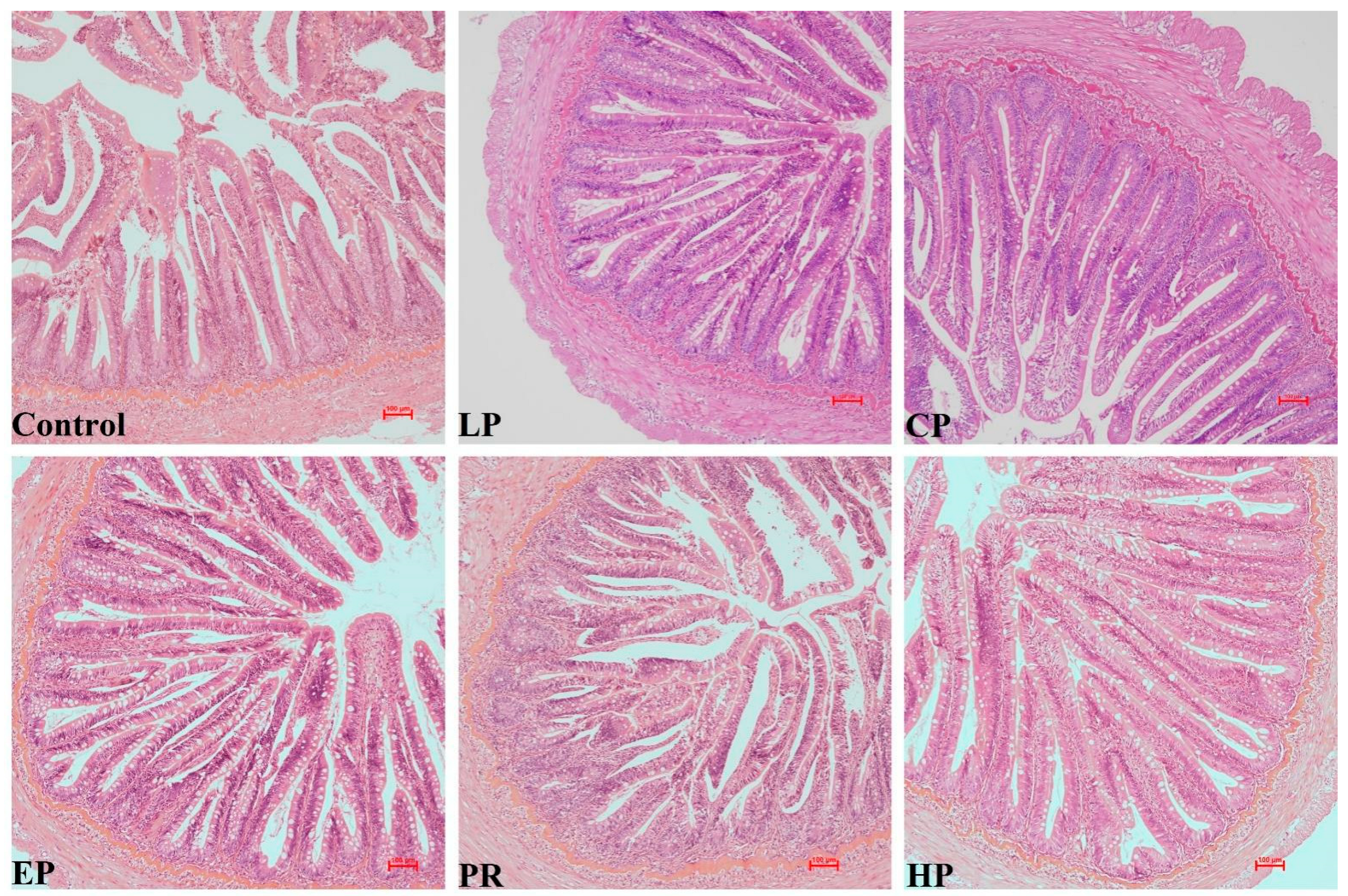 Antioxidants 11 02473 g003