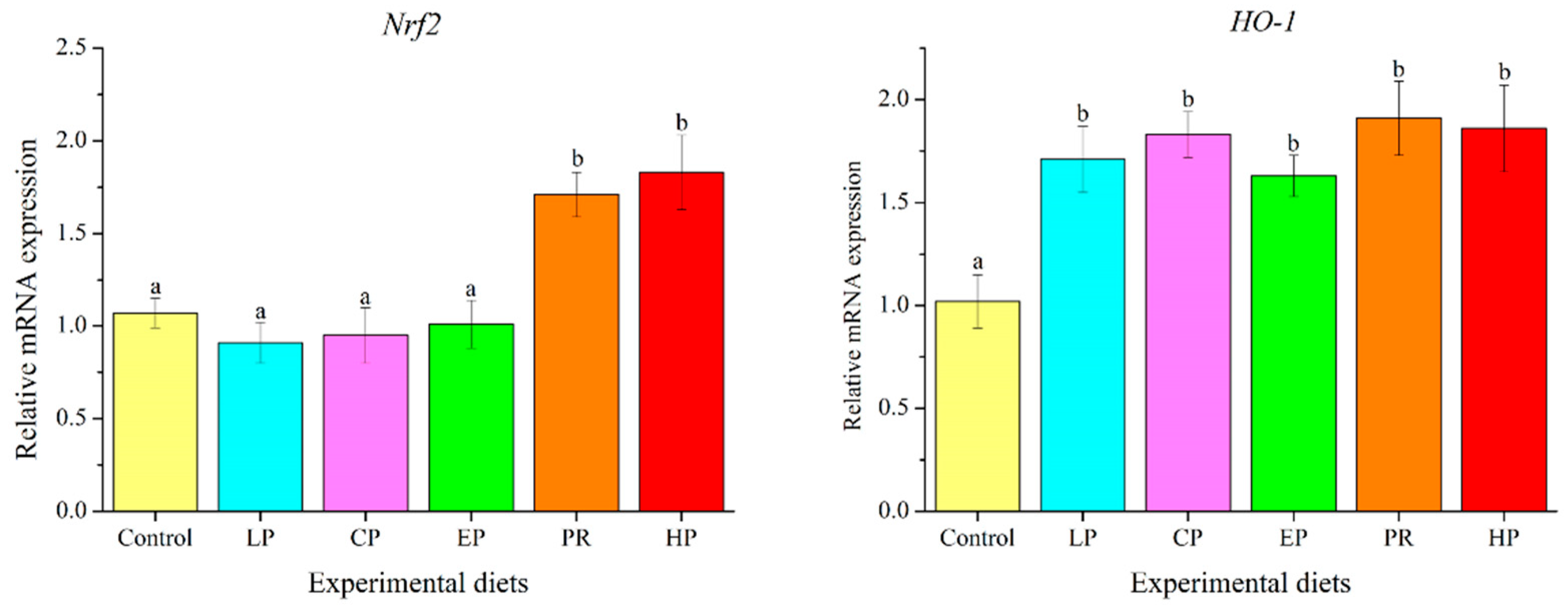 Antioxidants 11 02473 g007