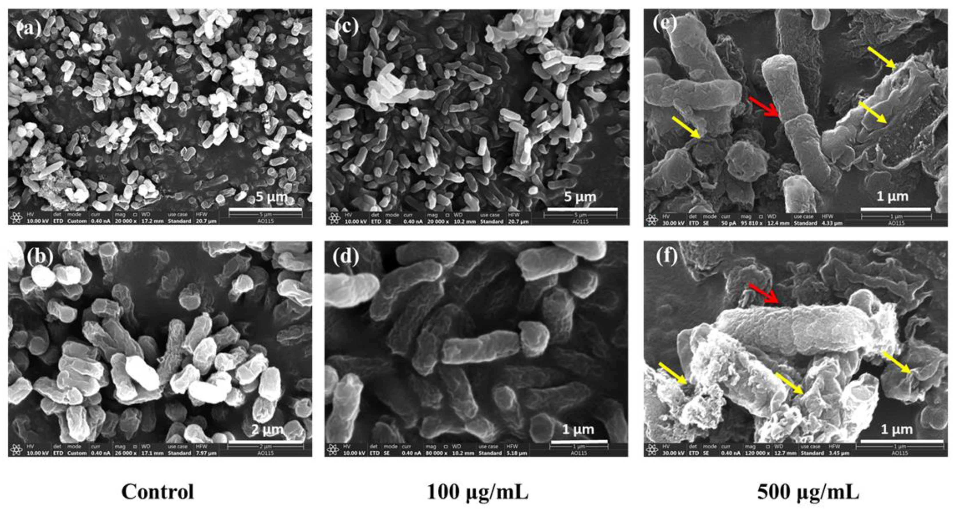 Antioxidants 11 02475 g007