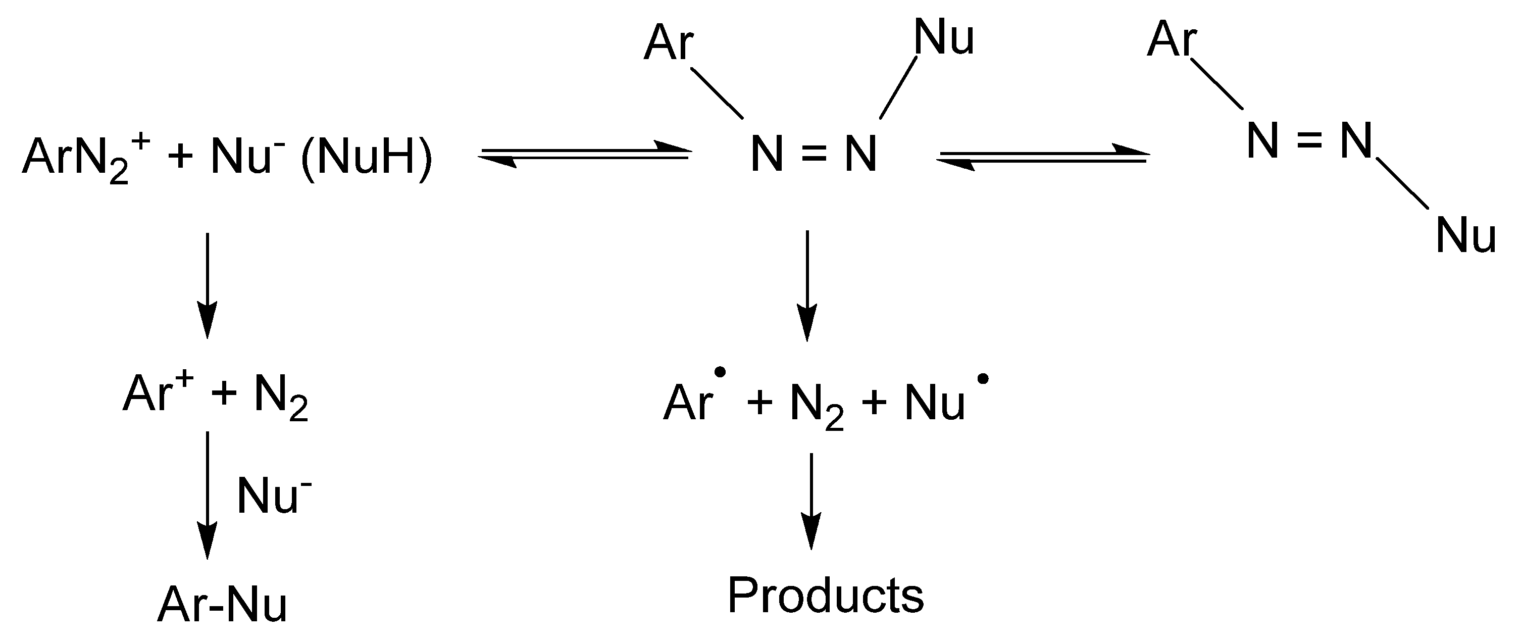 Antioxidants 11 02477 sch003 Antioxidants 11 02477 sch003
