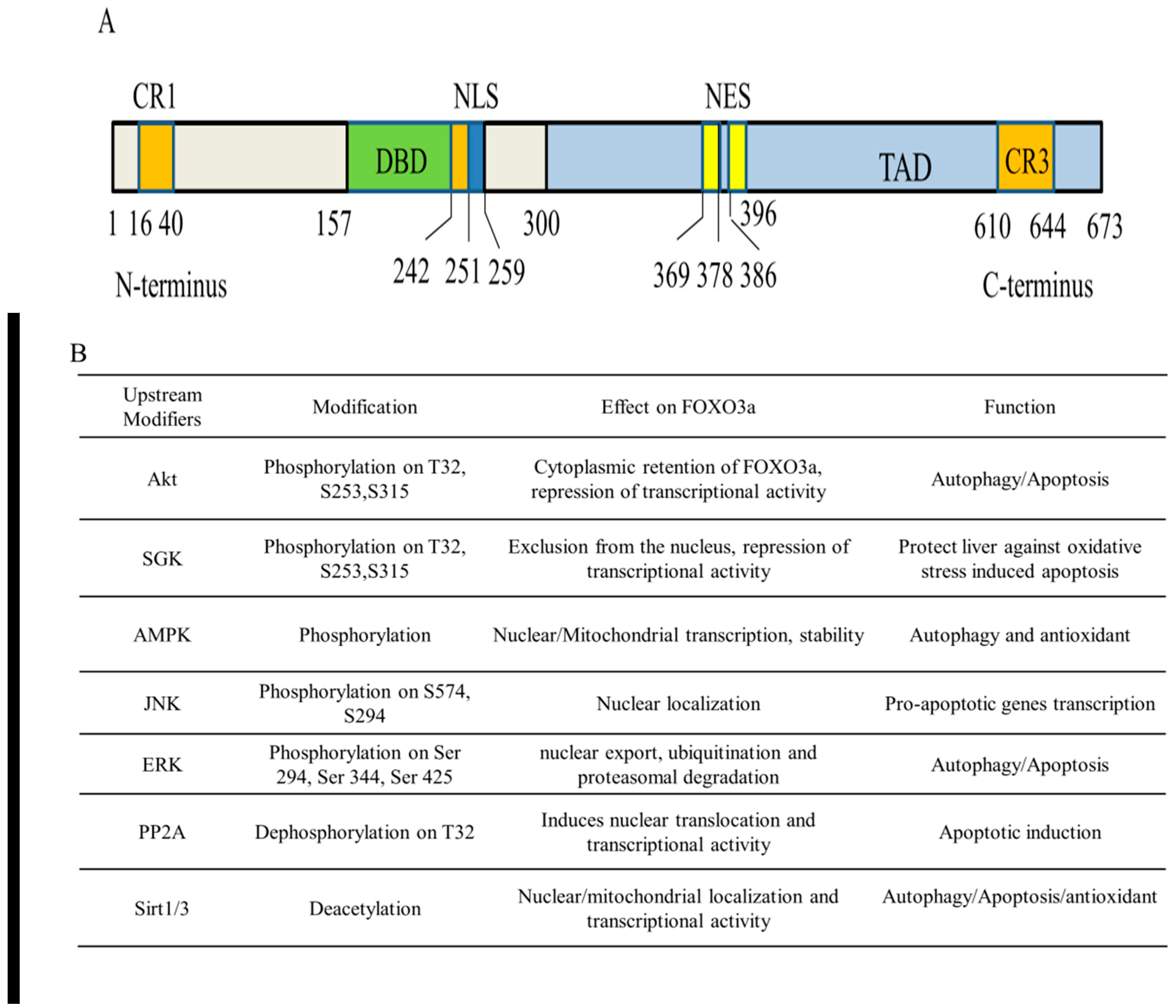Antioxidants 11 02478 g002