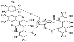 Antioxidants 11 02478 i002