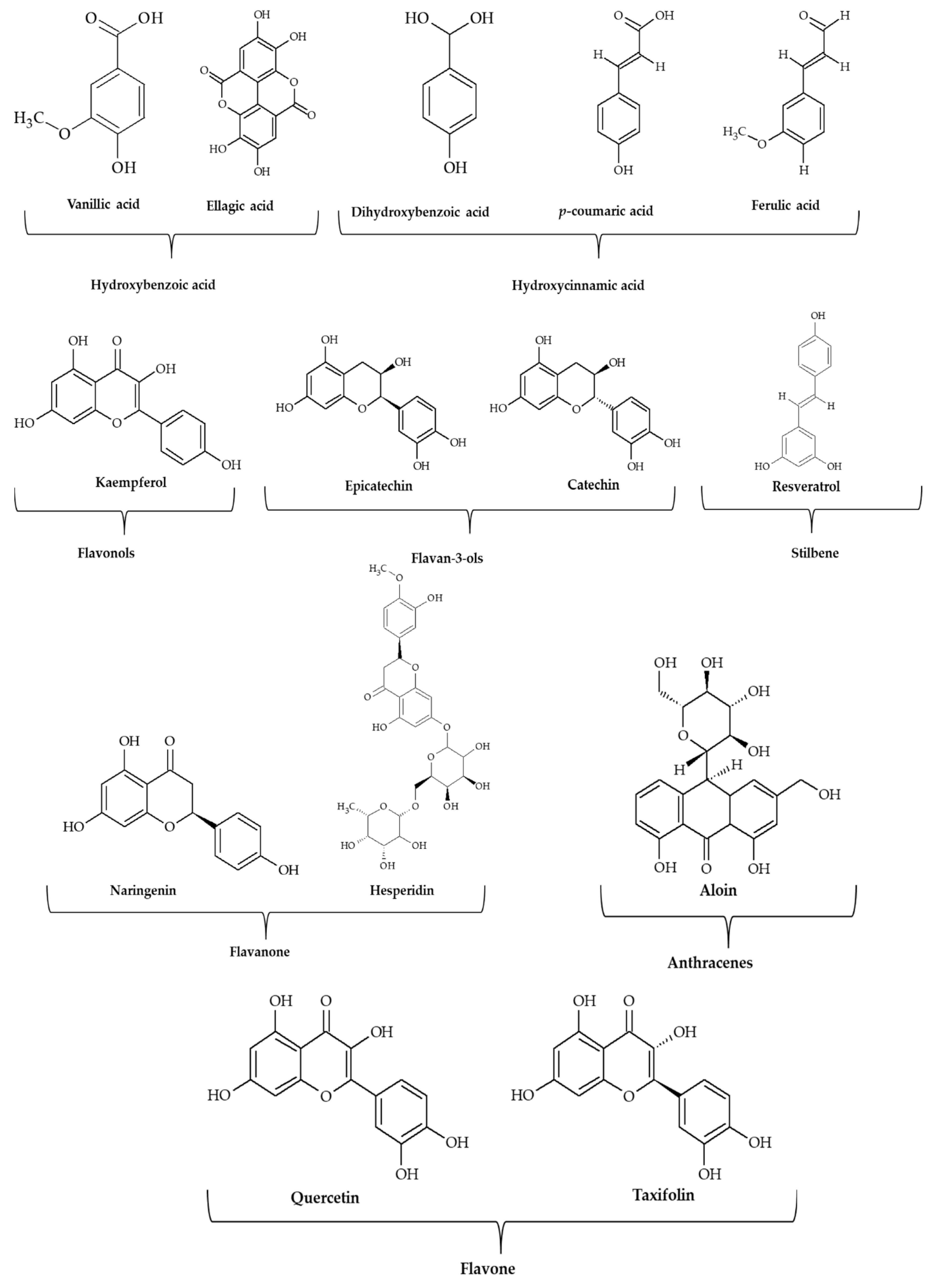 Antioxidants 11 02479 g003