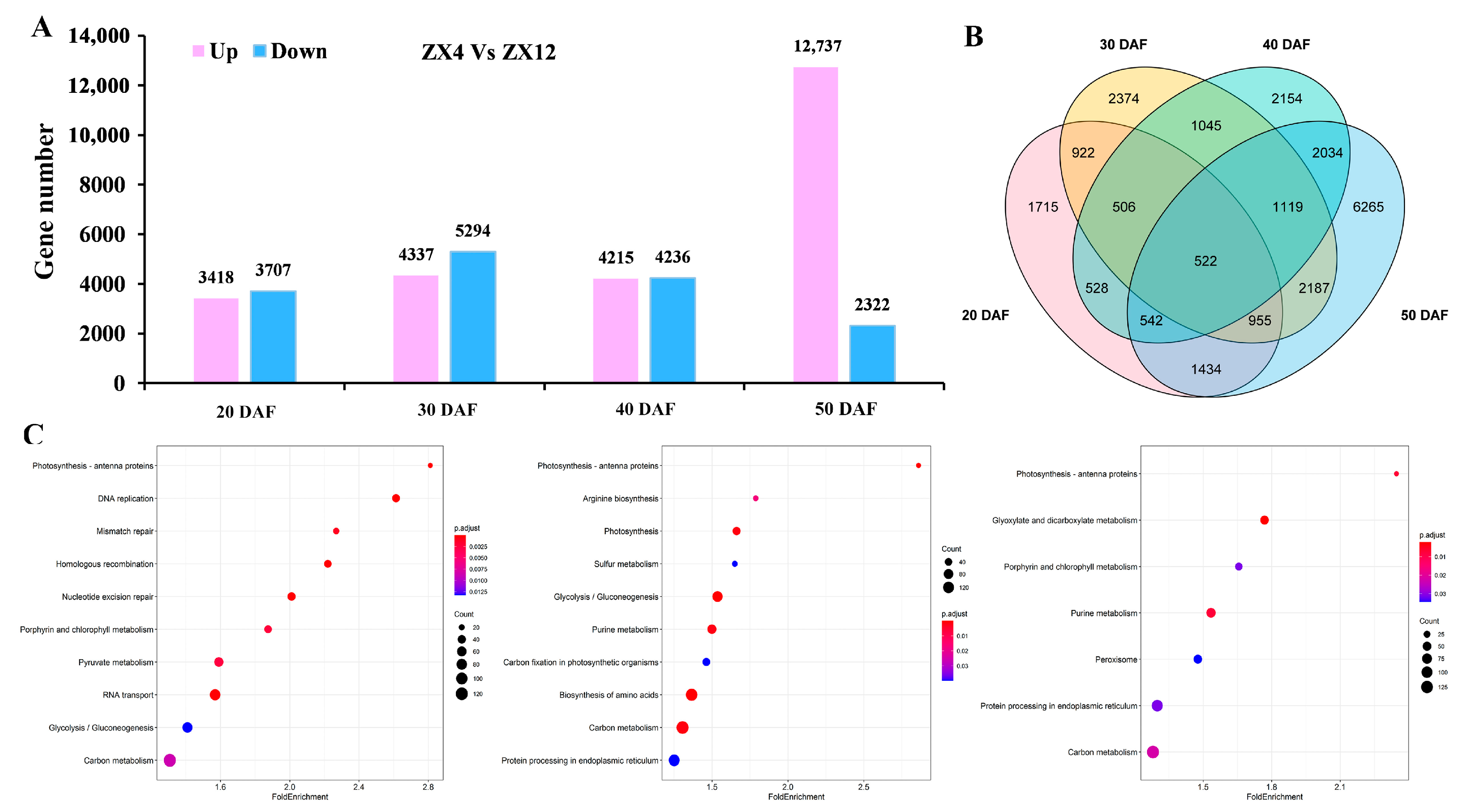 Antioxidants 11 02480 g003