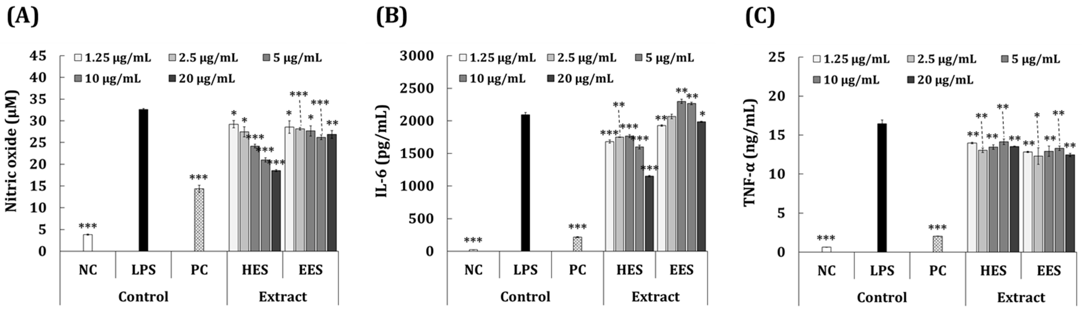 Antioxidants 11 02483 g003 Antioxidants 11 02483 g003