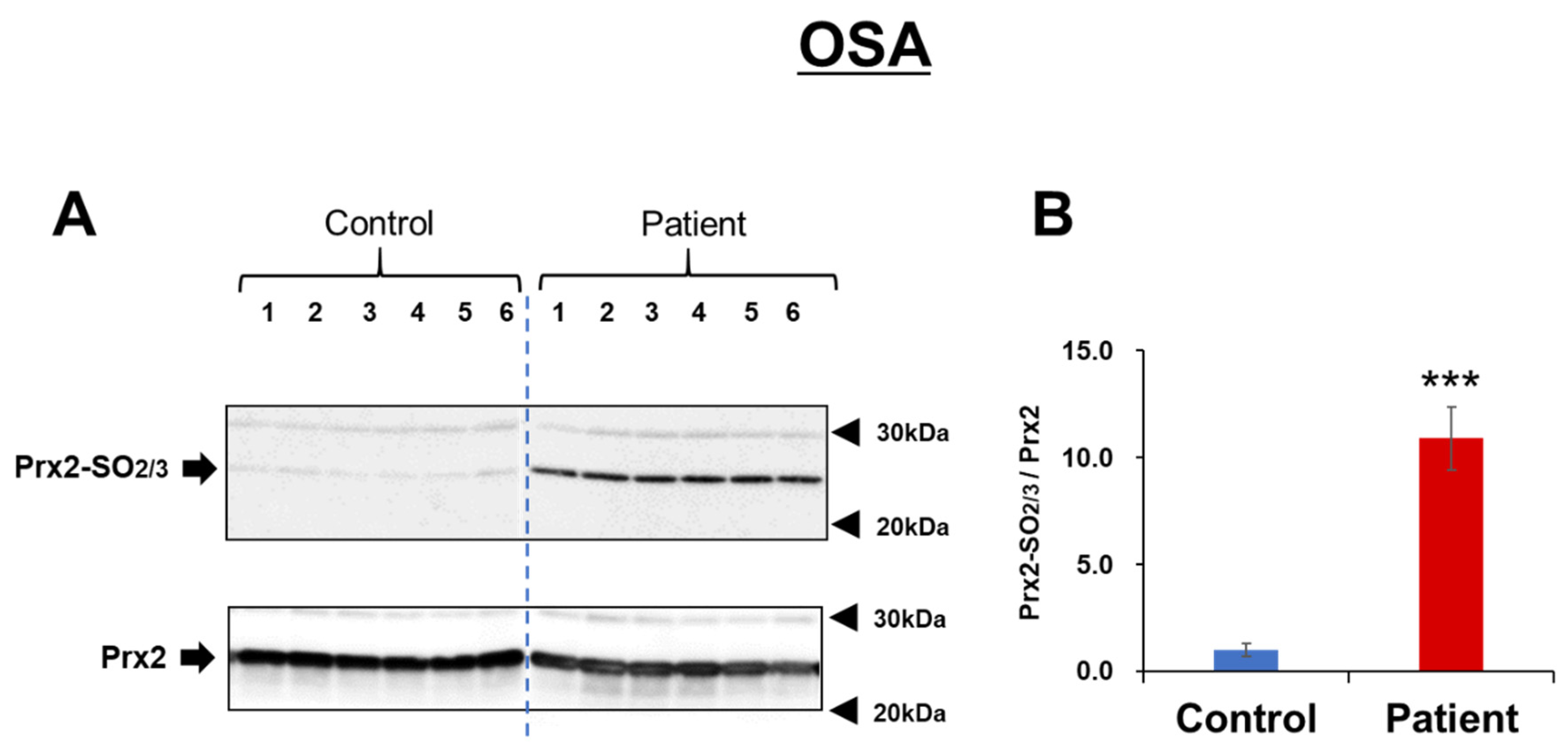 Antioxidants 11 02486 g001