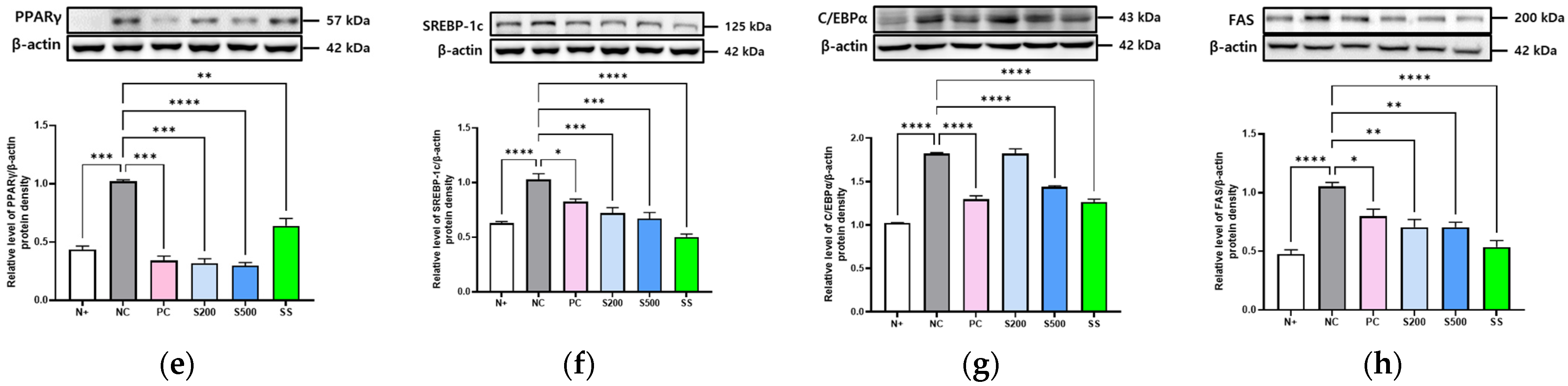 Antioxidants 11 02496 g002b