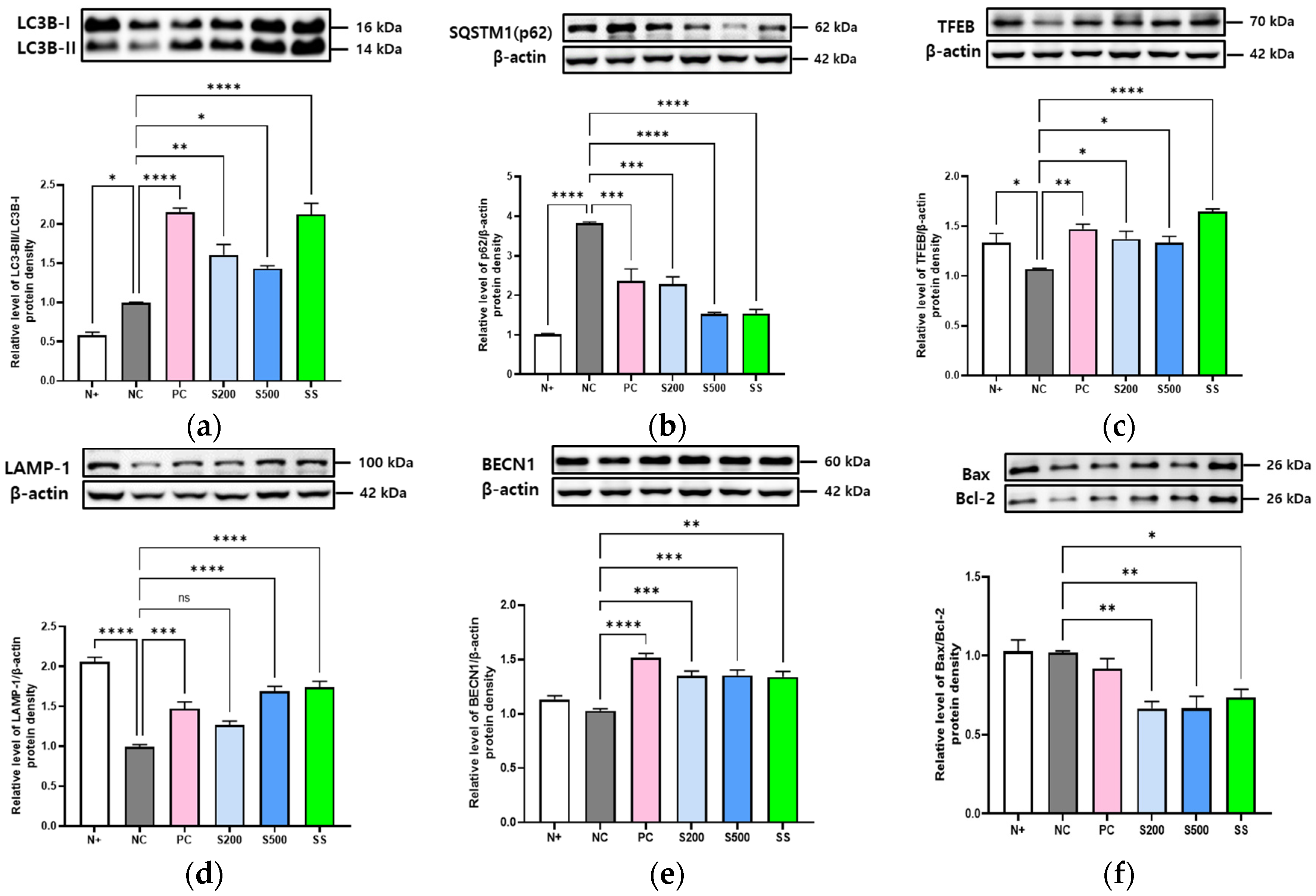 Antioxidants 11 02496 g004