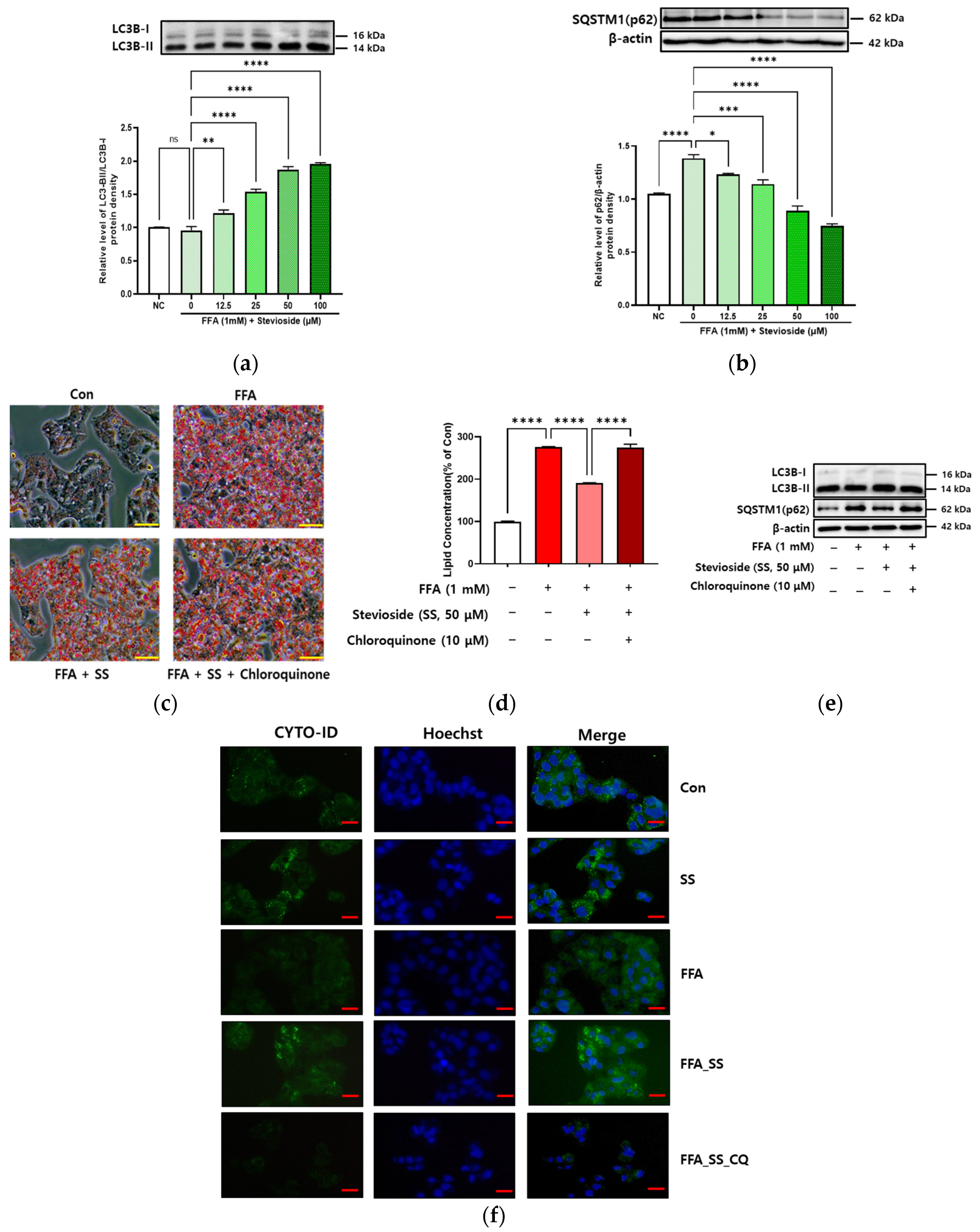 Antioxidants 11 02496 g005