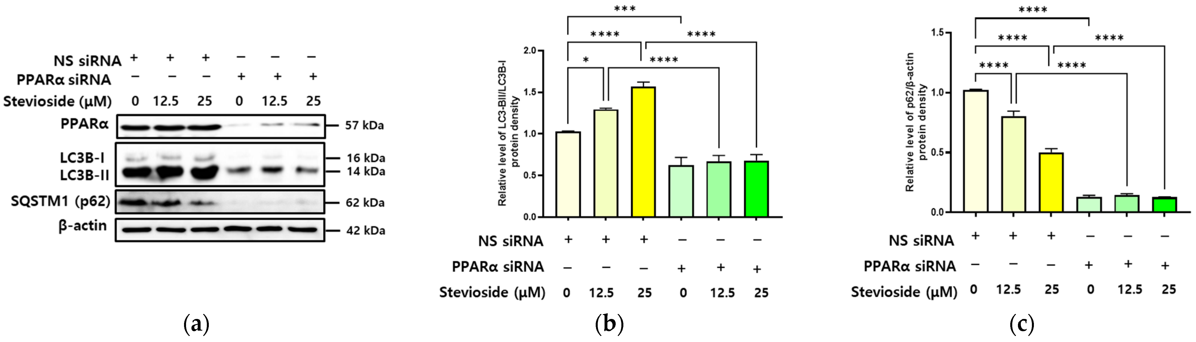 Antioxidants 11 02496 g006