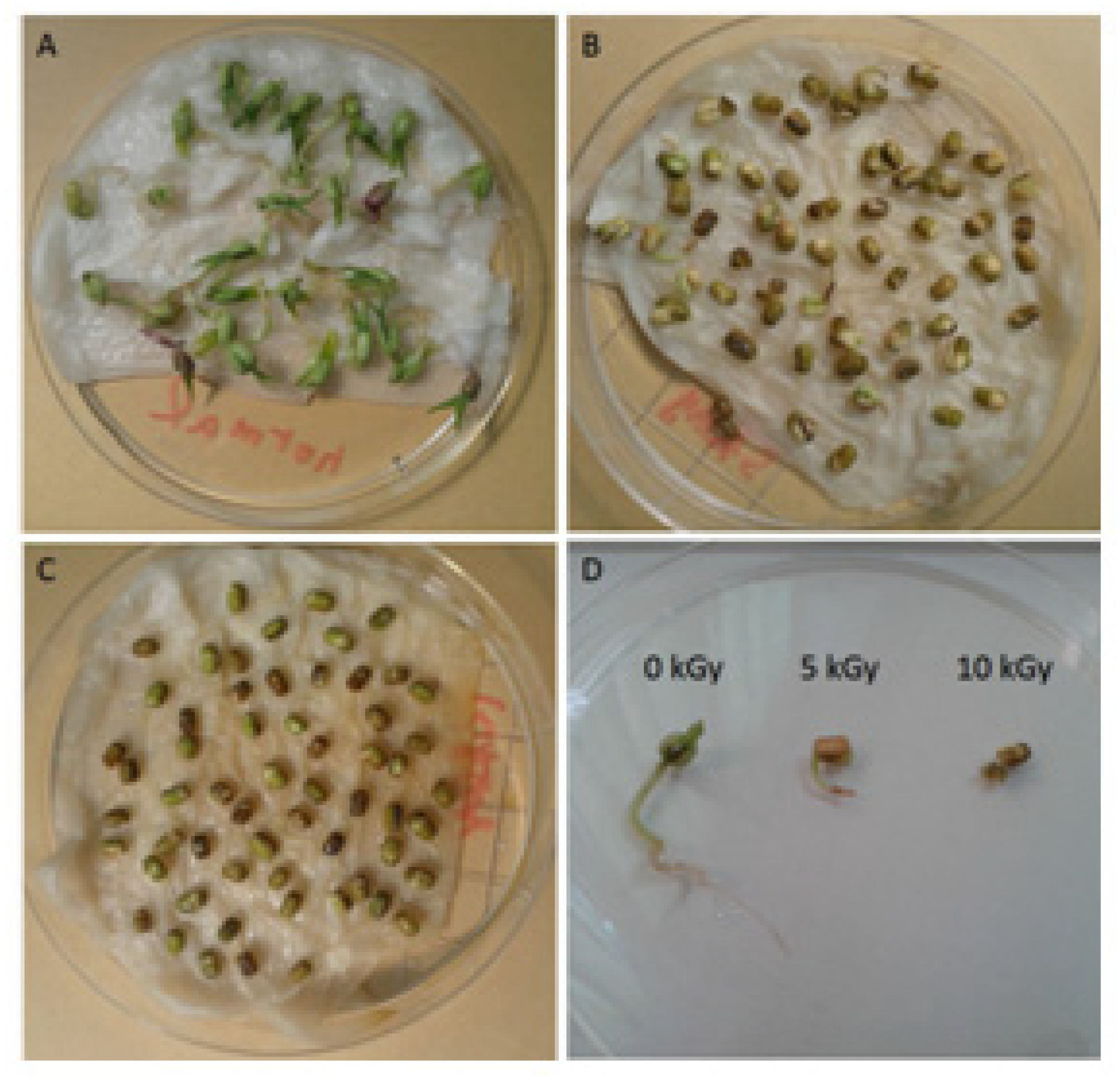 Antioxidants 11 02498 g001