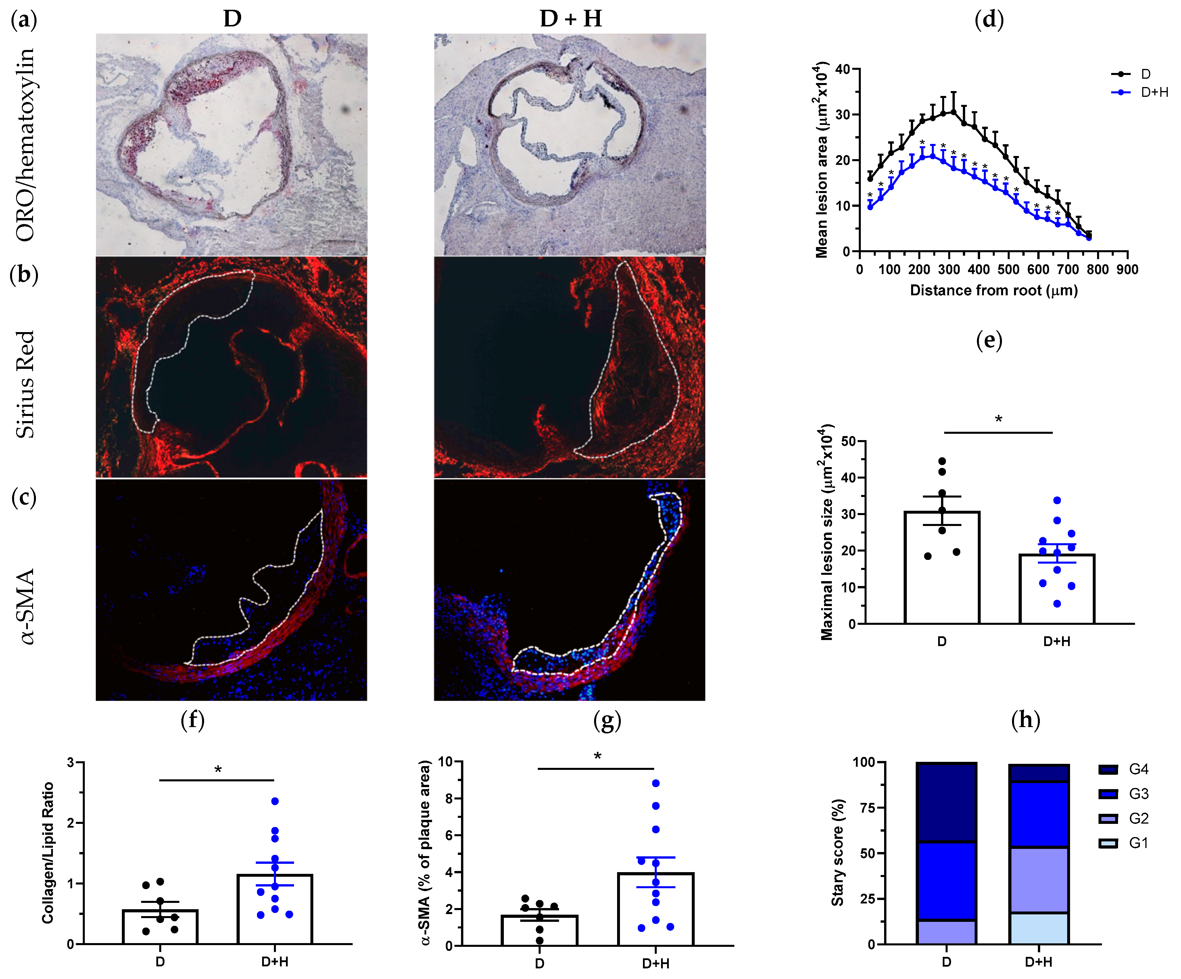 Antioxidants 11 02499 g004