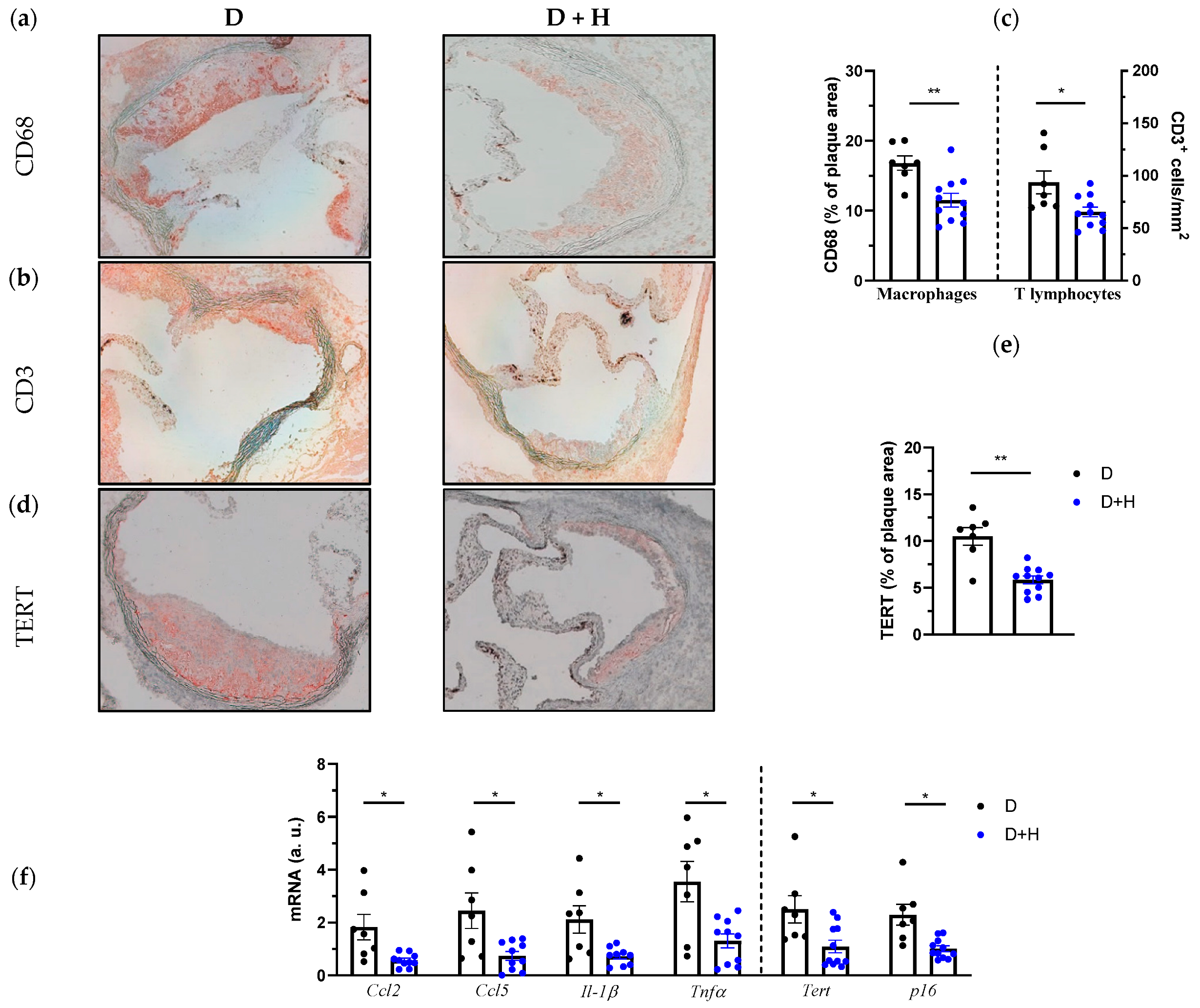 Antioxidants 11 02499 g005a