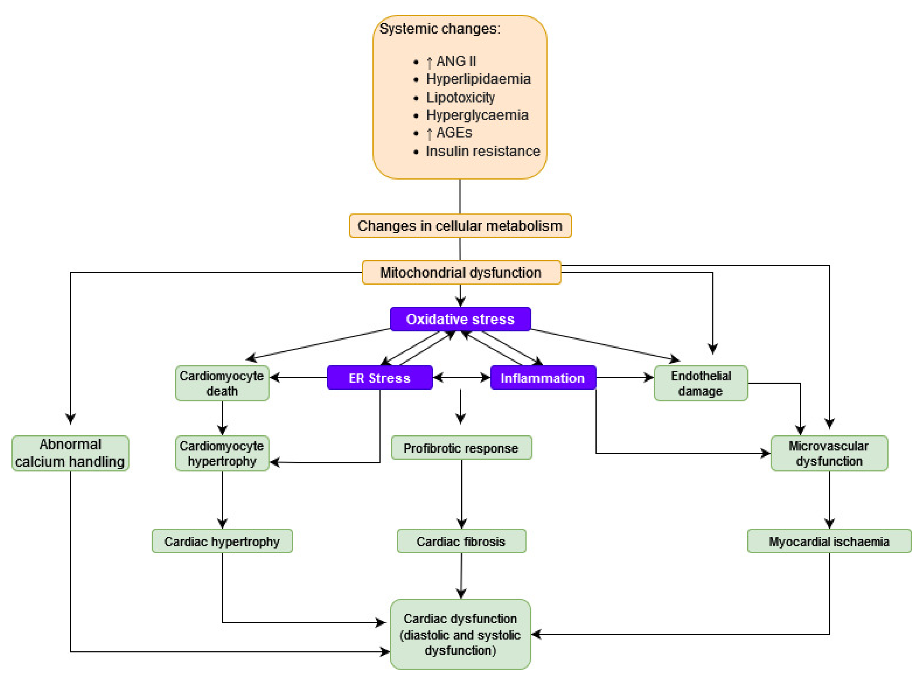 Antioxidants 11 02500 g001 Antioxidants 11 02500 g001