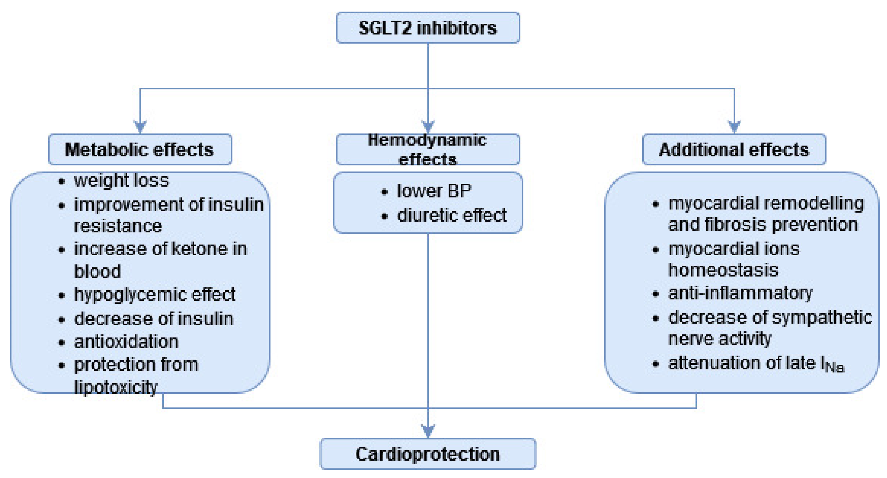 Antioxidants 11 02500 g002 Antioxidants 11 02500 g002