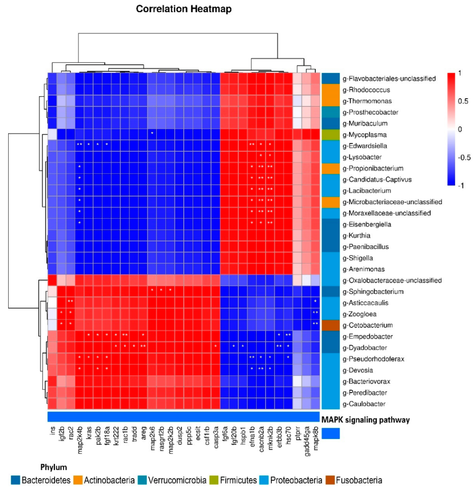 Antioxidants 12 00001 g011