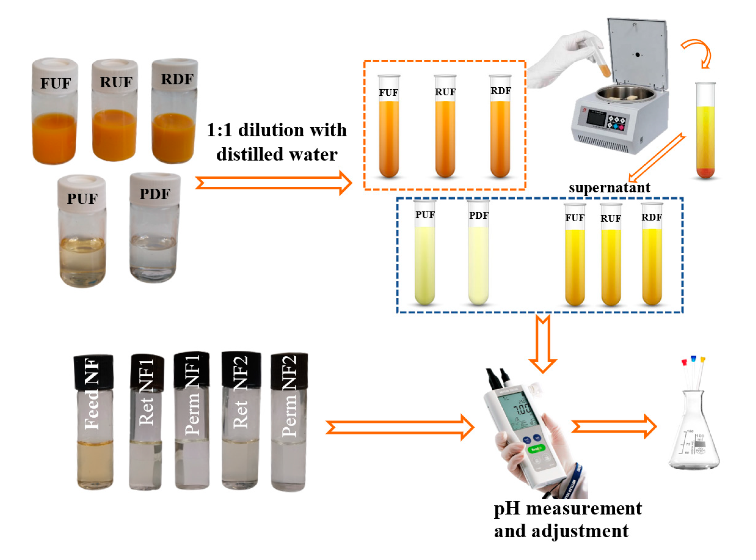 Antioxidants 12 00002 g002