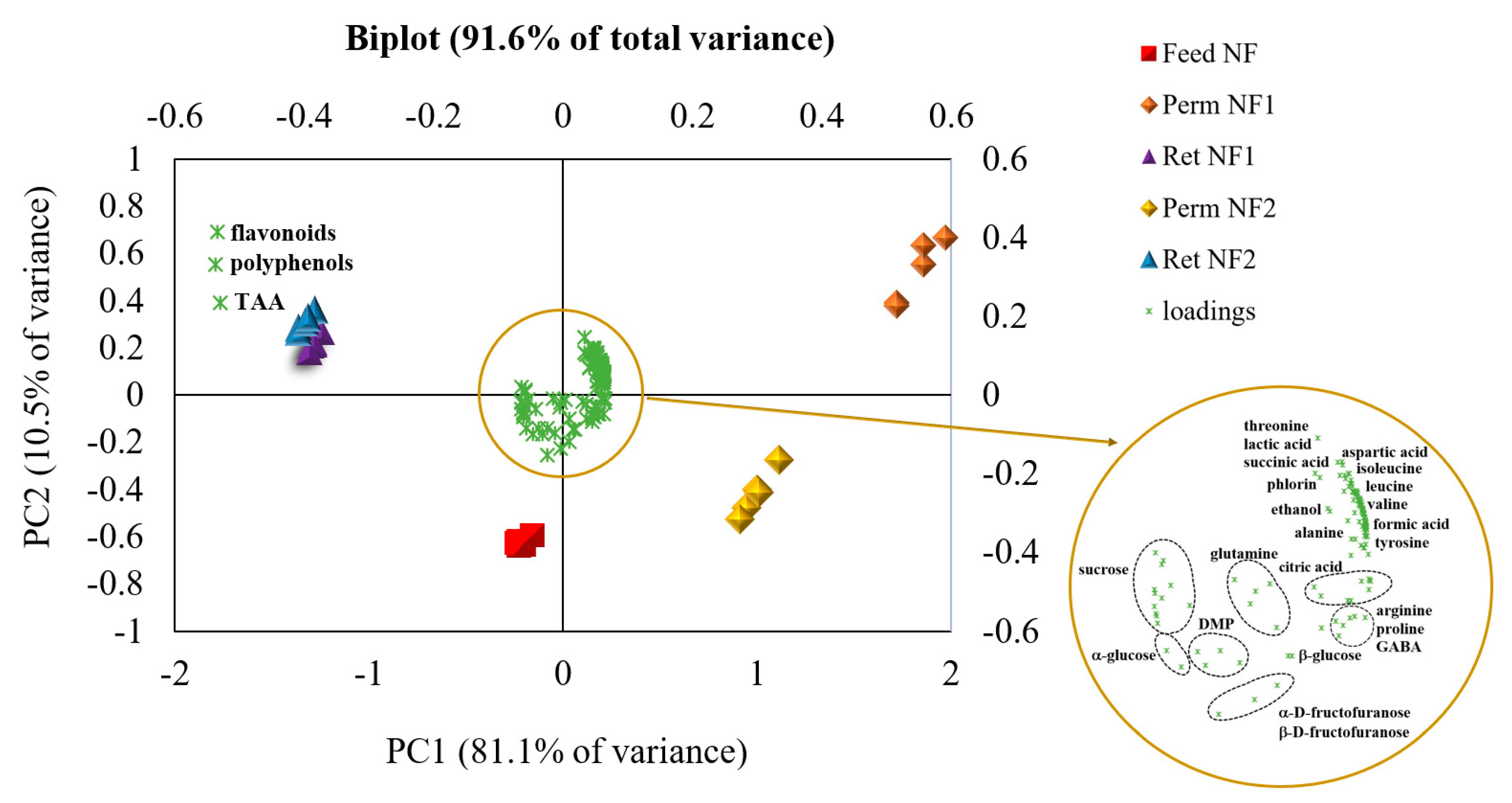 Antioxidants 12 00002 g010
