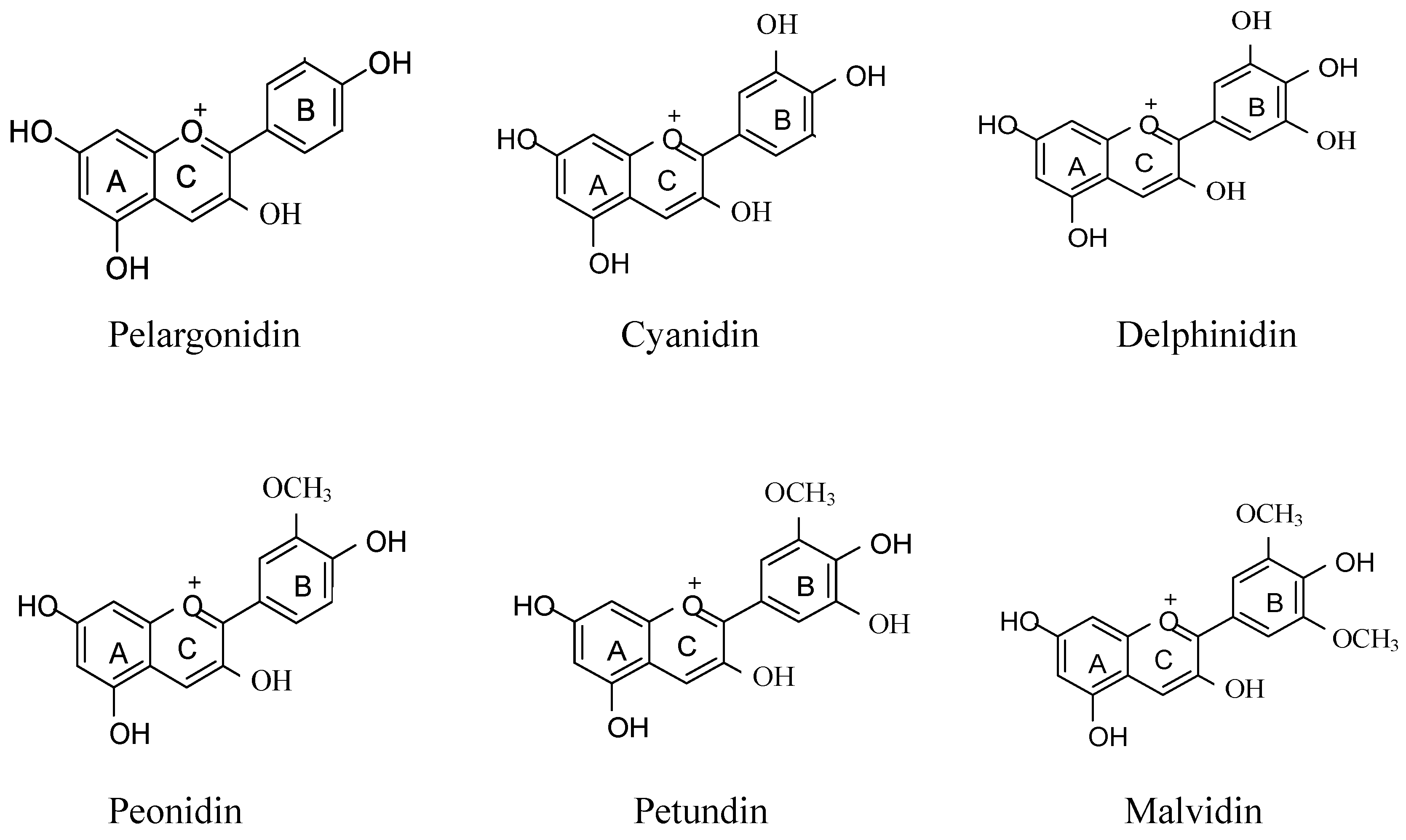 Antioxidants 12 00003 g002