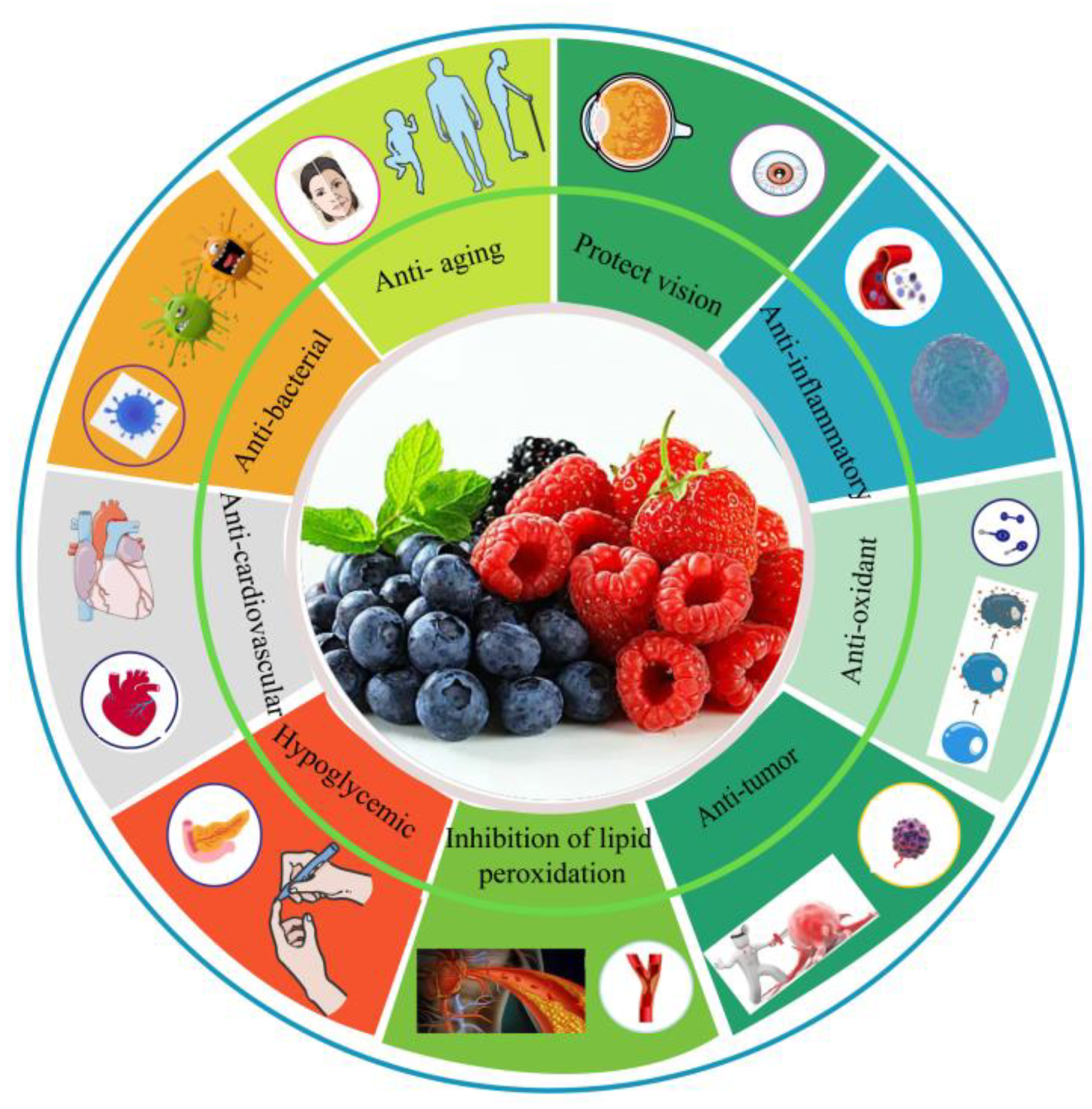 Antioxidants 12 00003 g004