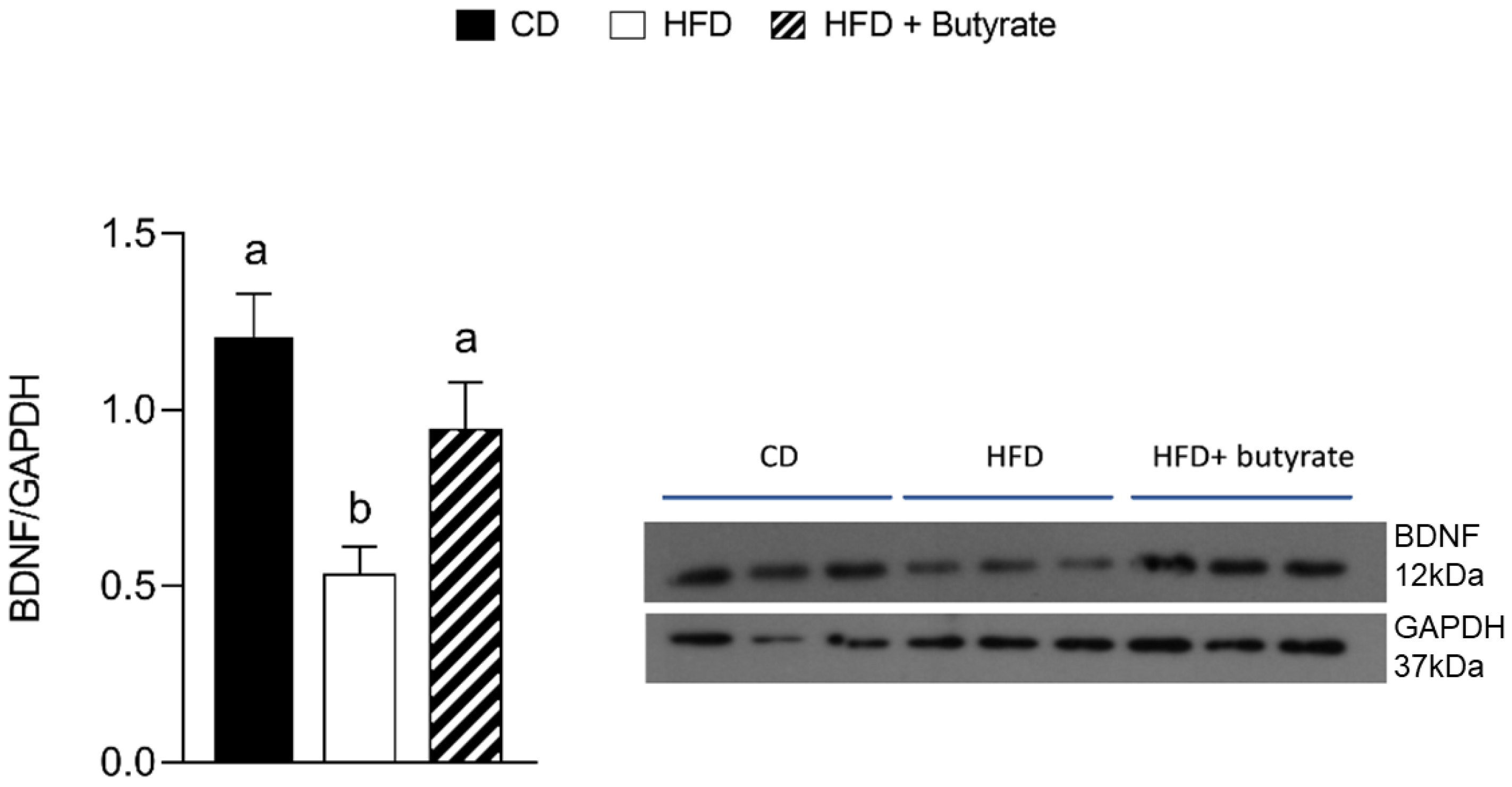 Antioxidants 12 00004 g007