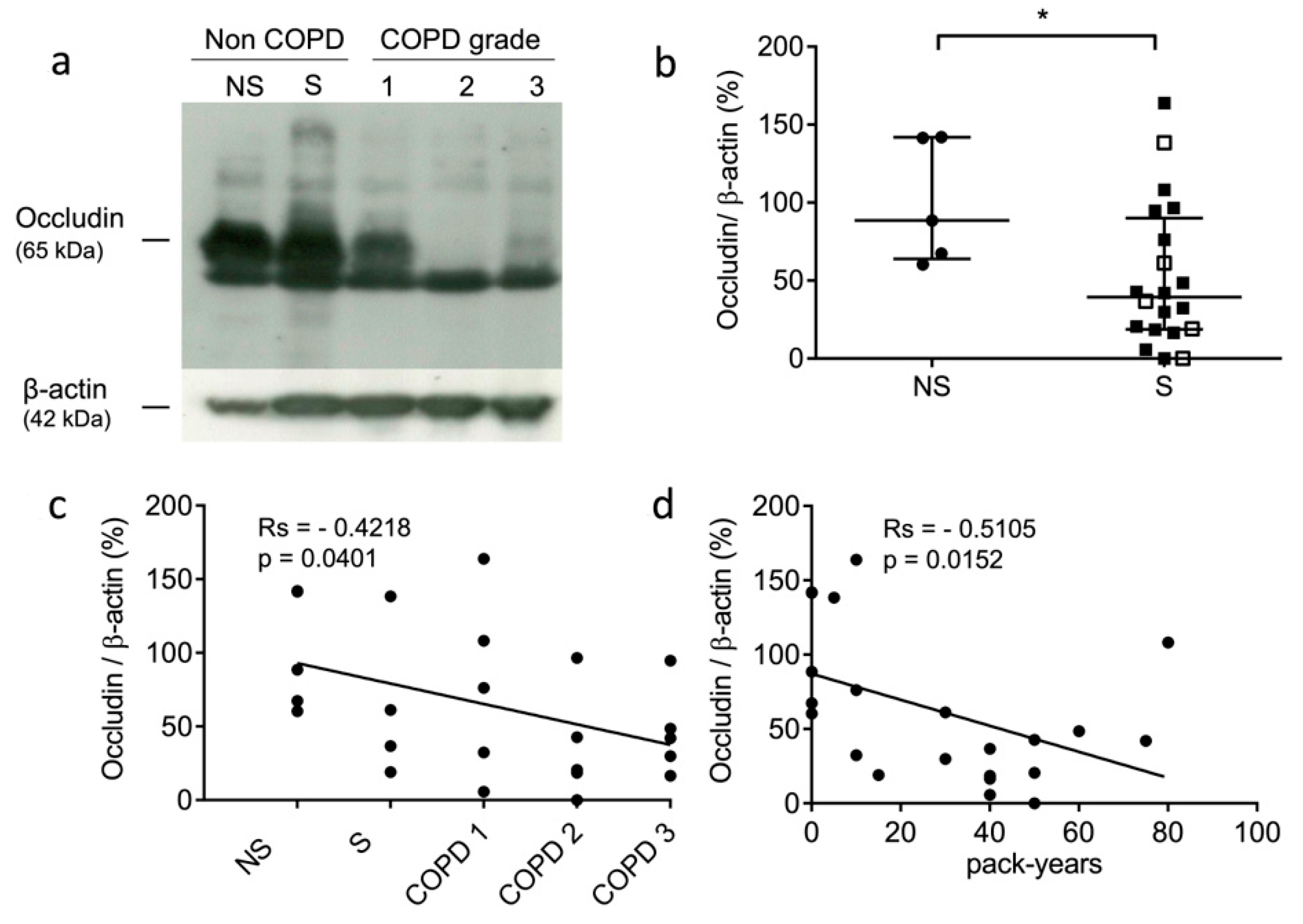 Antioxidants 12 00005 g001