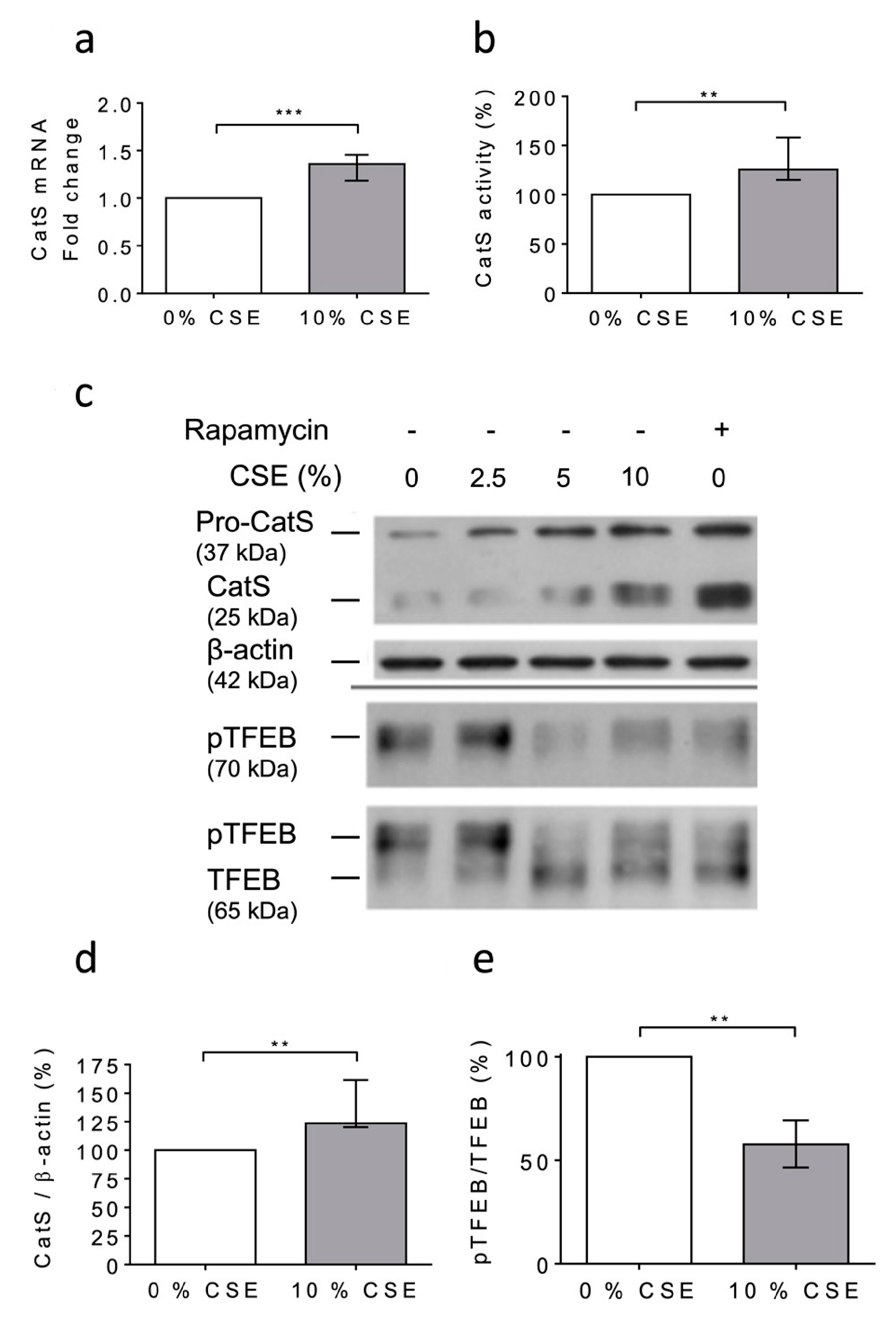 Antioxidants 12 00005 g003