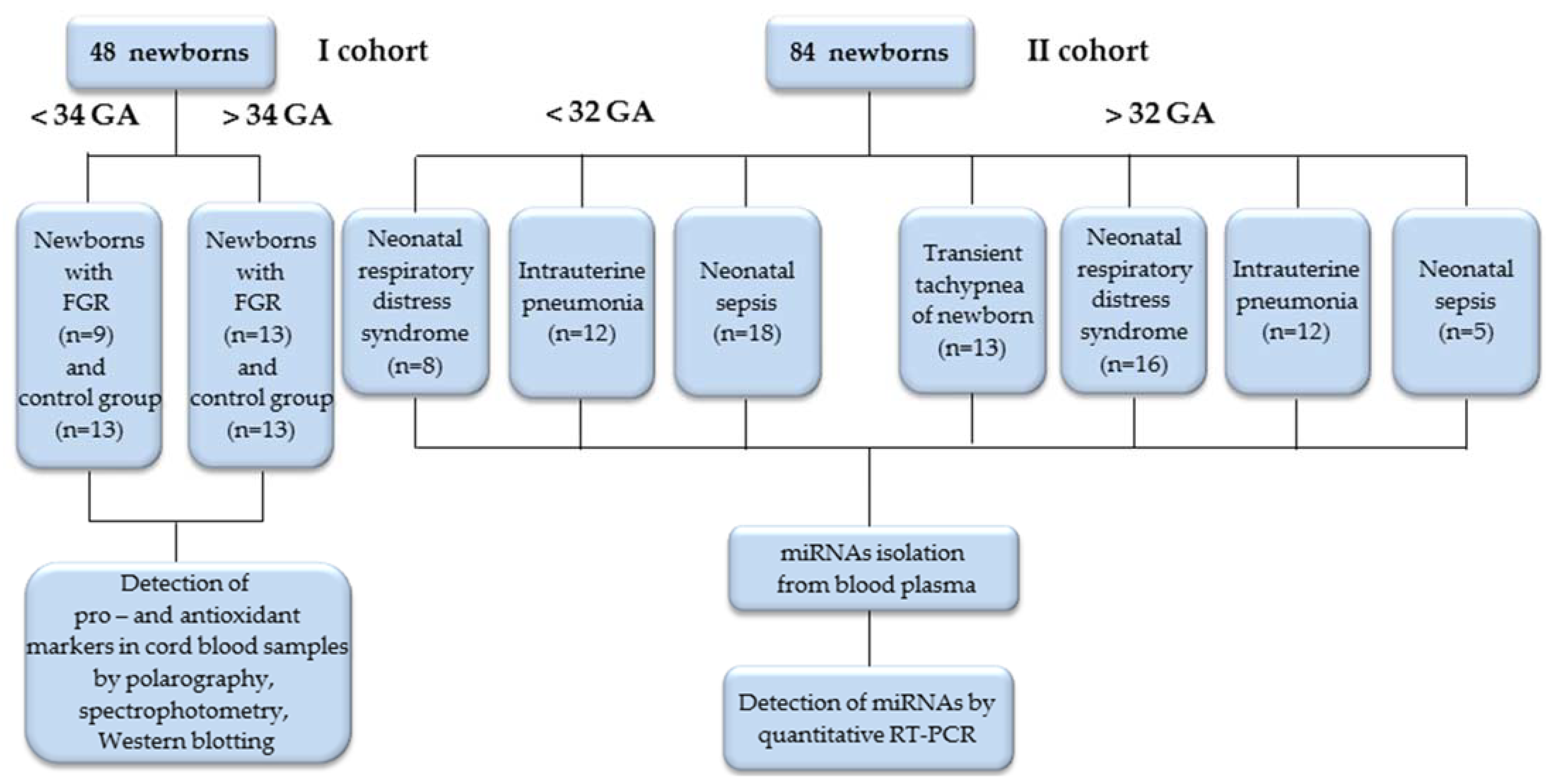 Antioxidants 12 00006 g001