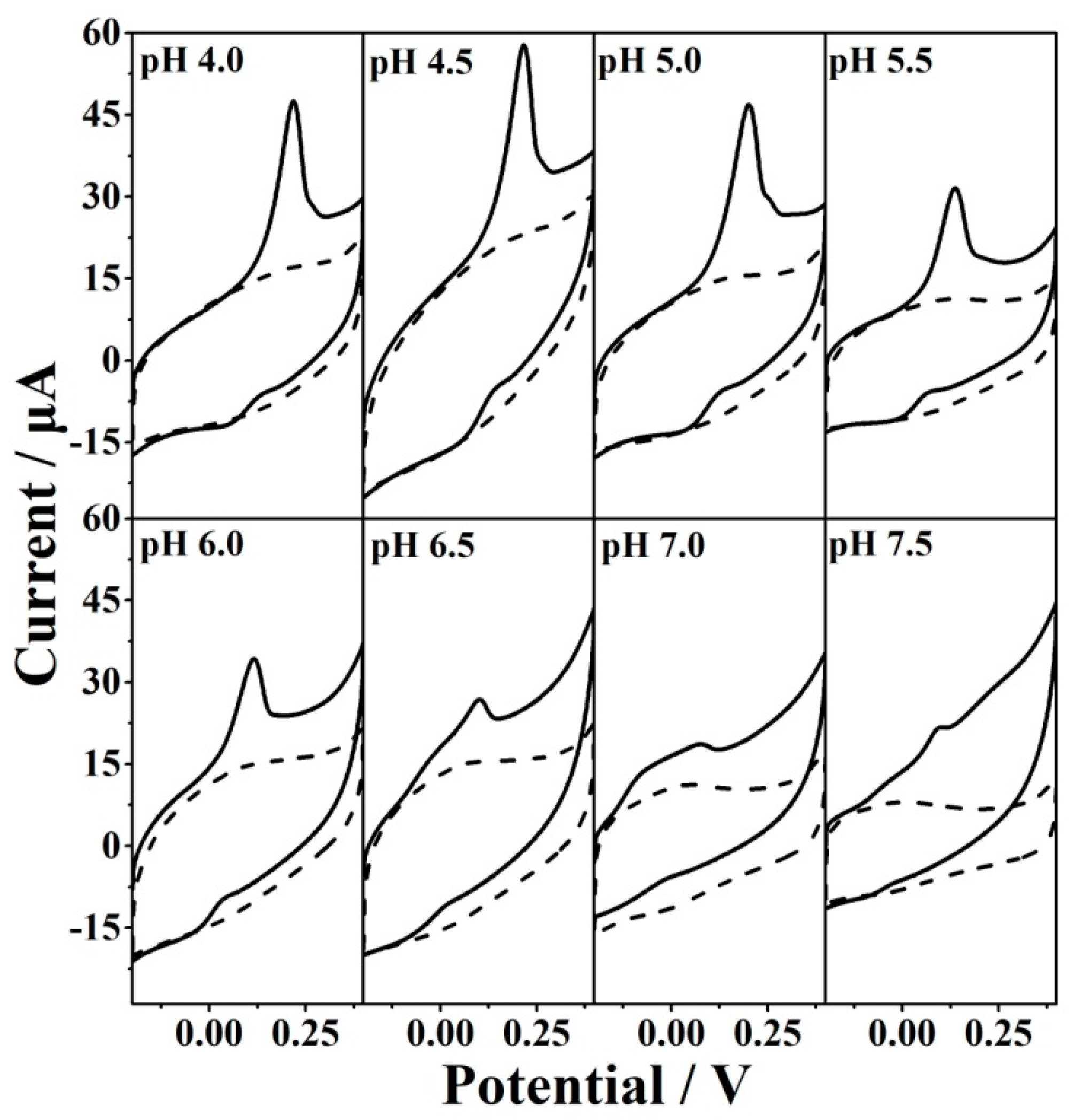 Antioxidants 12 00008 g007