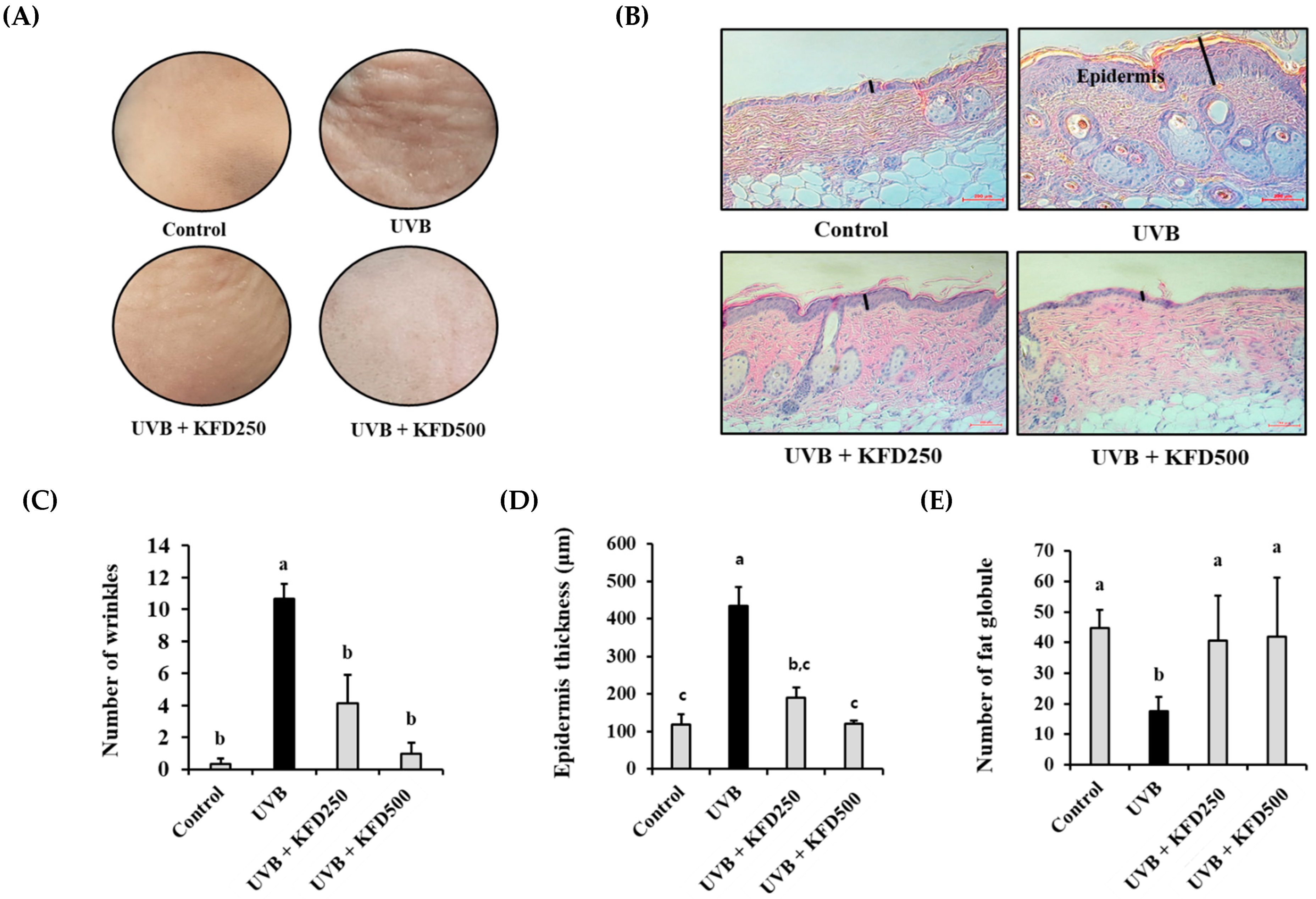Antioxidants 12 00011 g002