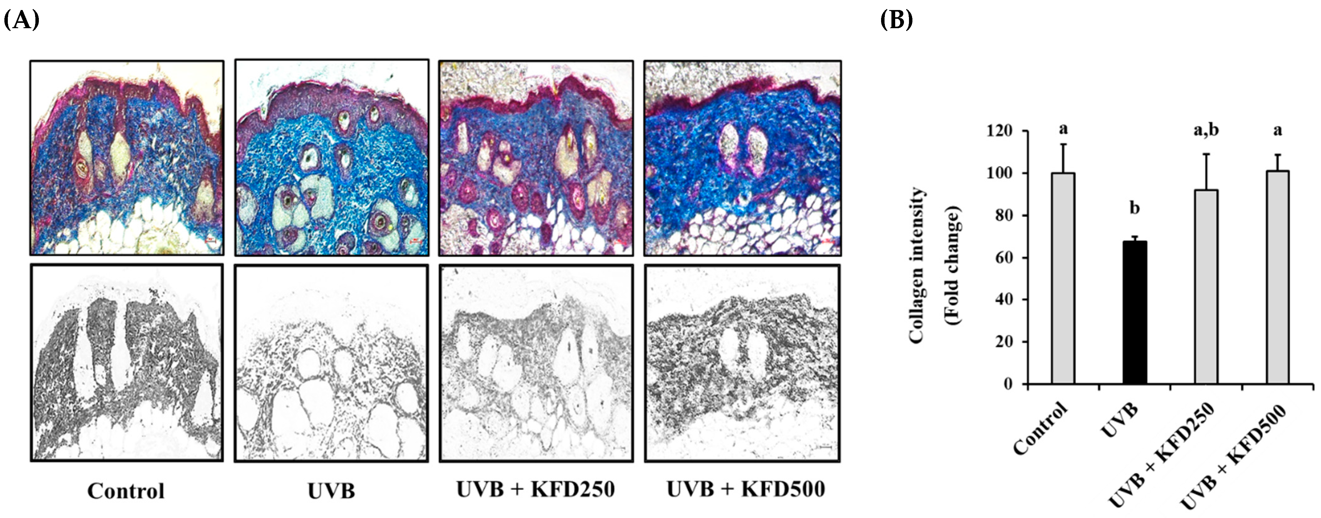 Antioxidants 12 00011 g003