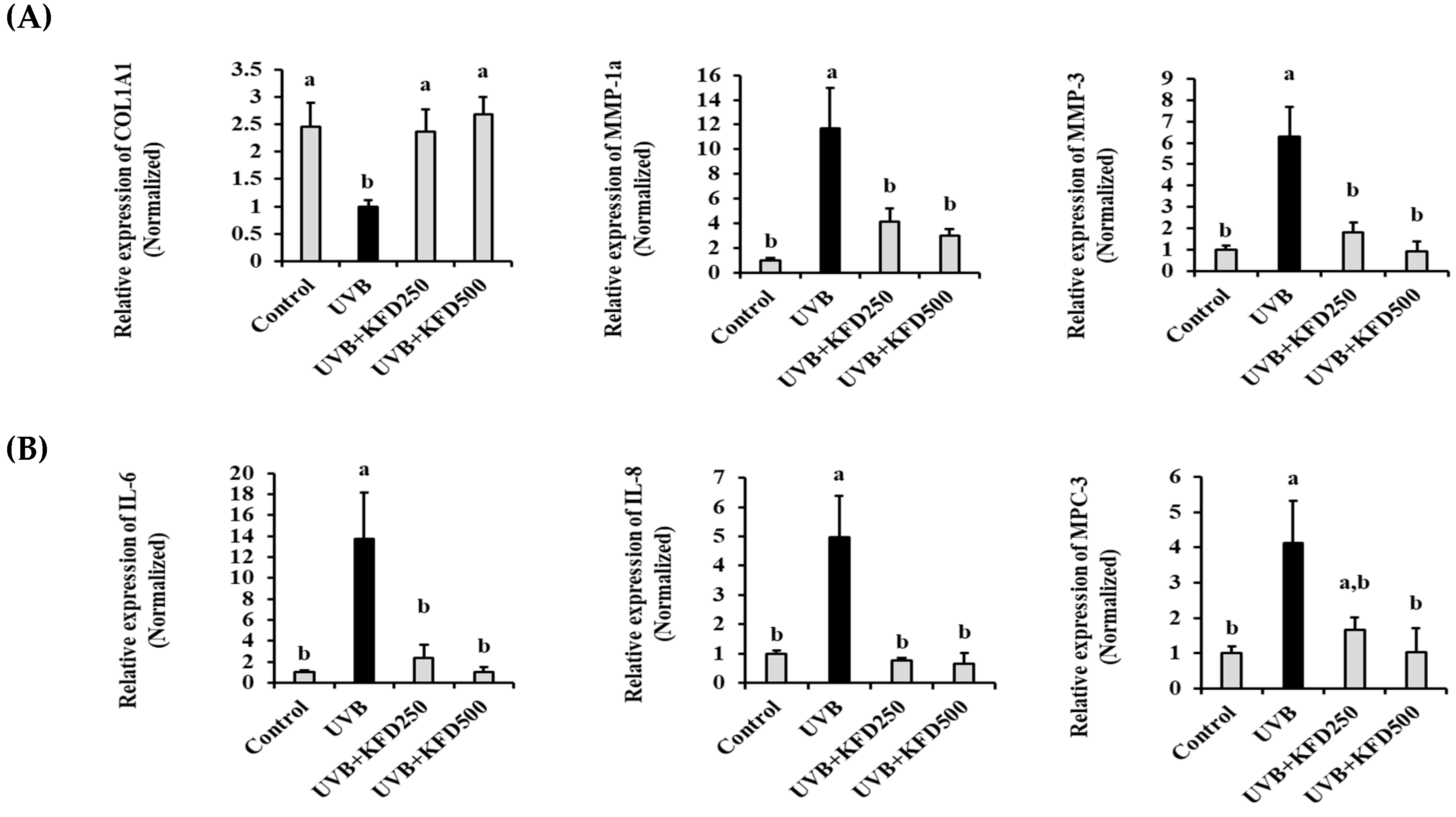 Antioxidants 12 00011 g004