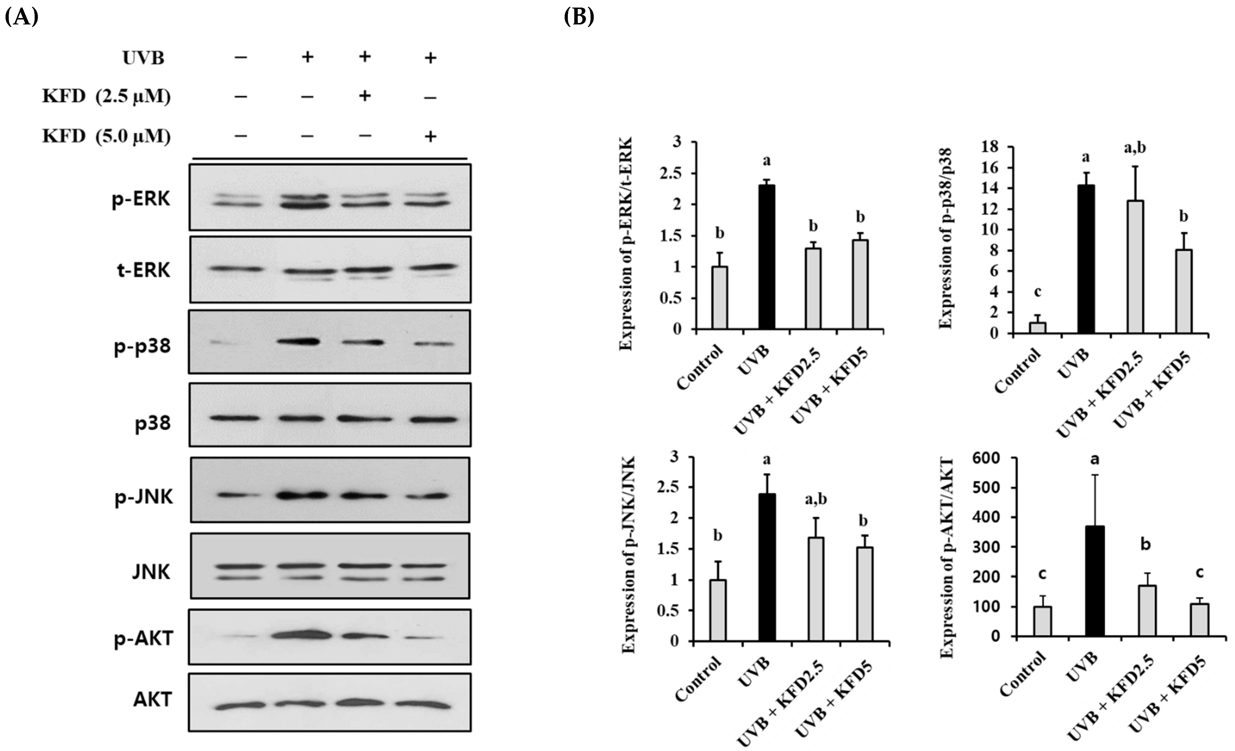 Antioxidants 12 00011 g007