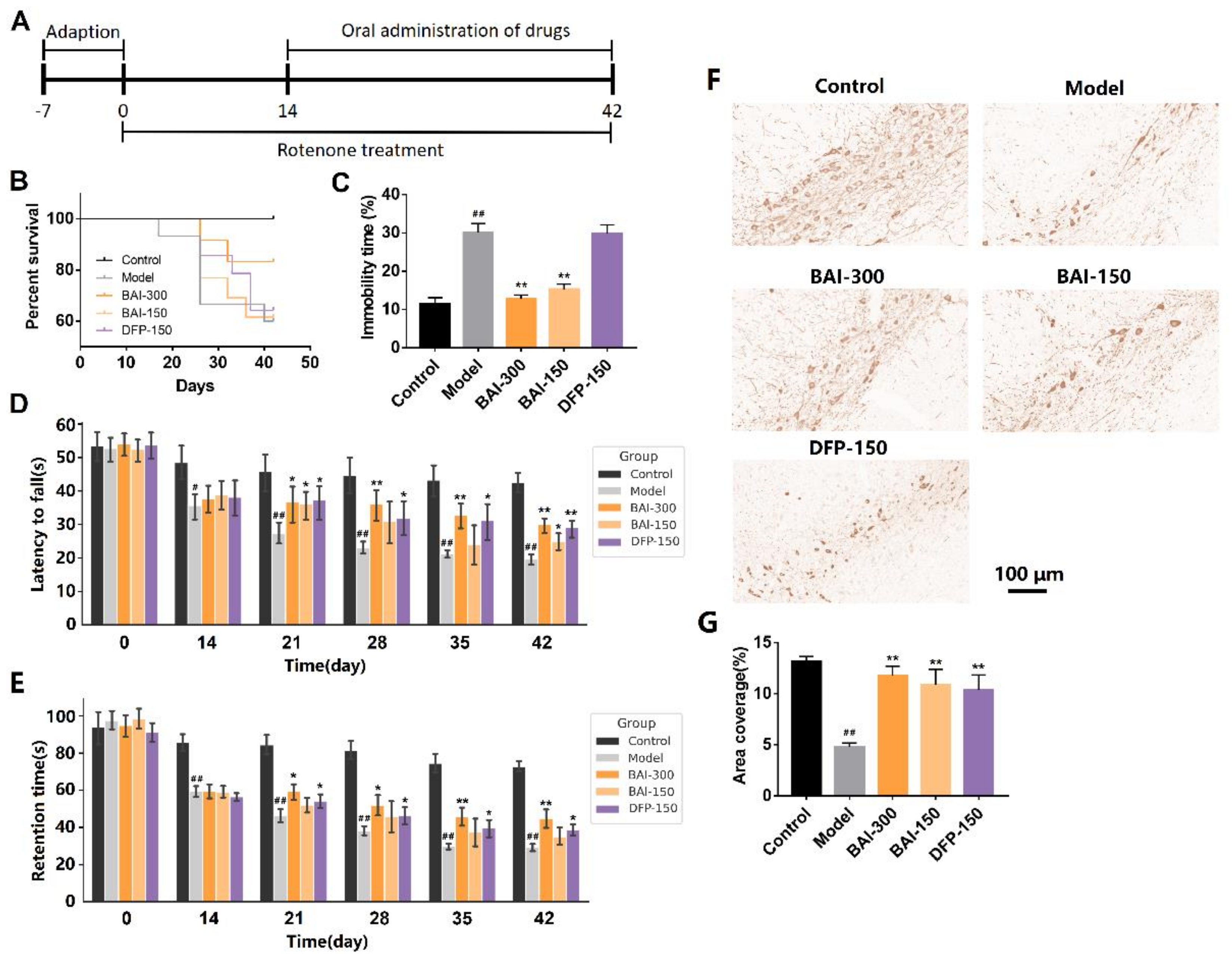 Antioxidants 12 00012 g004