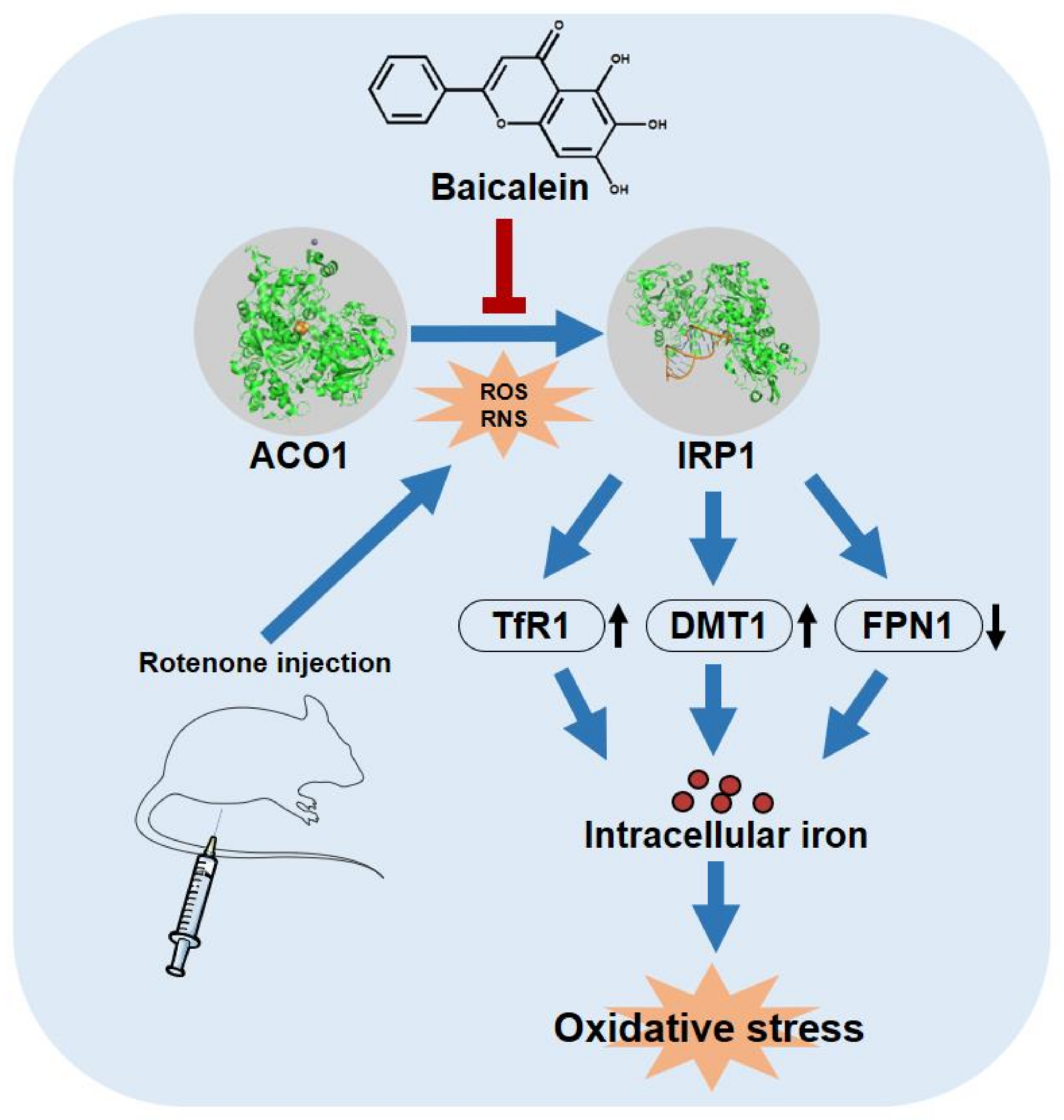Antioxidants 12 00012 g007
