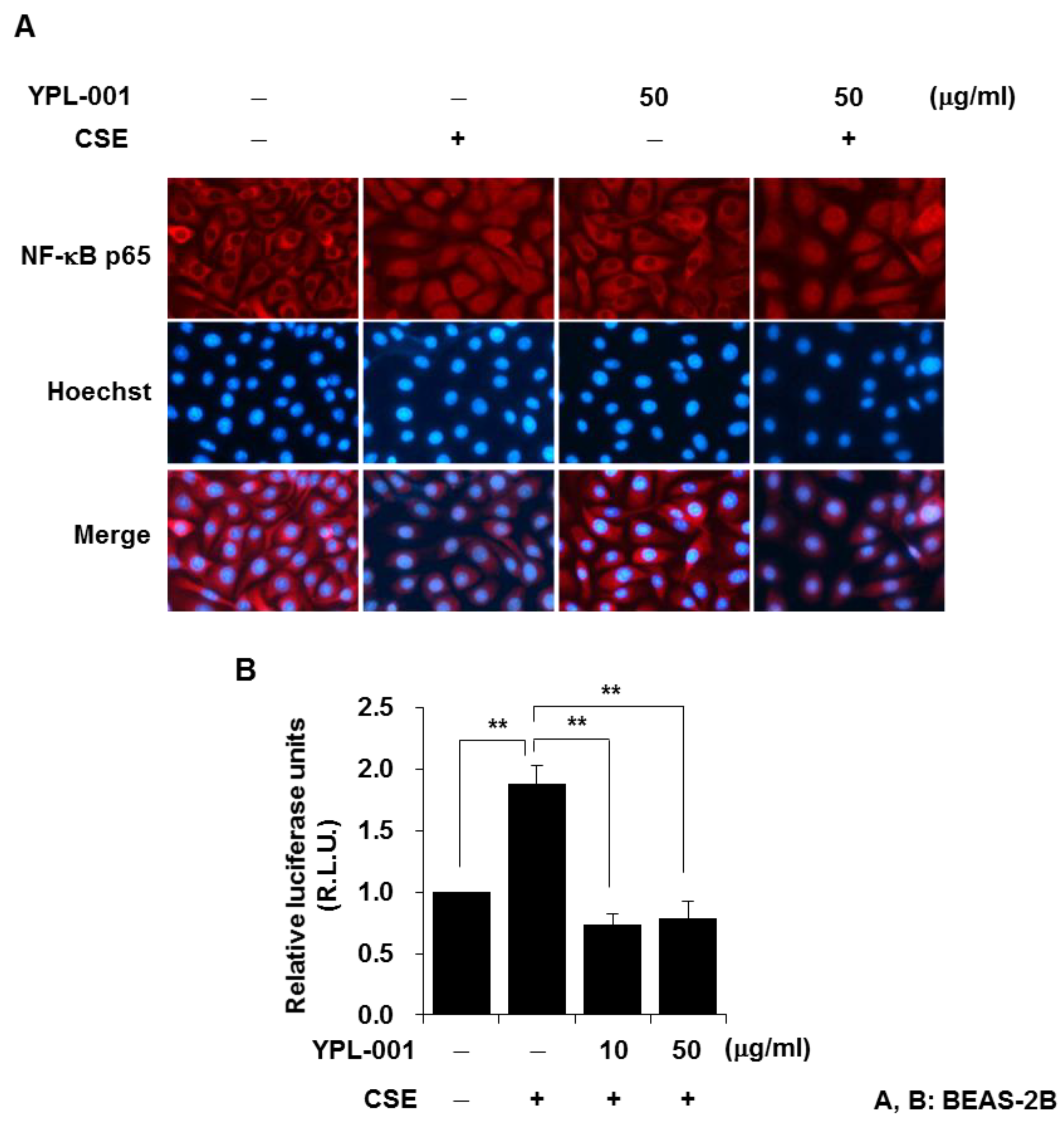 Antioxidants 12 00015 g002