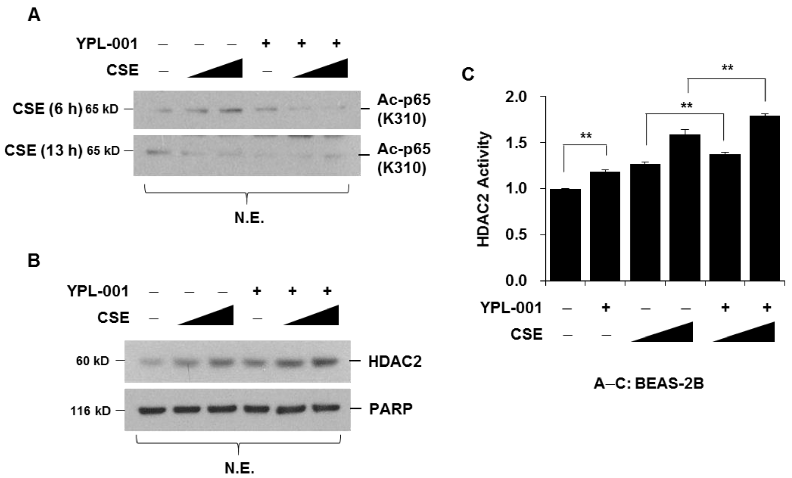 Antioxidants 12 00015 g003