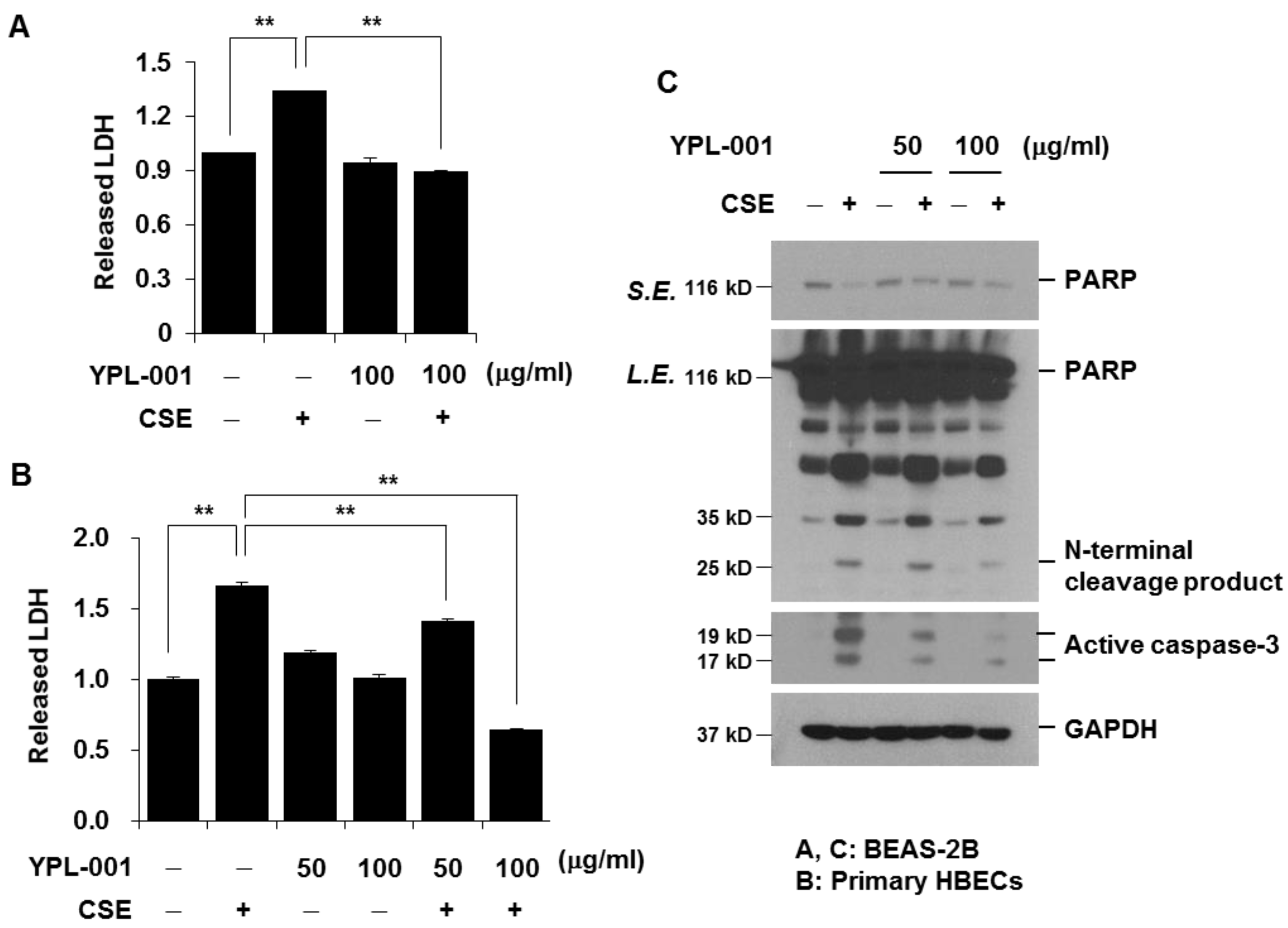 Antioxidants 12 00015 g005
