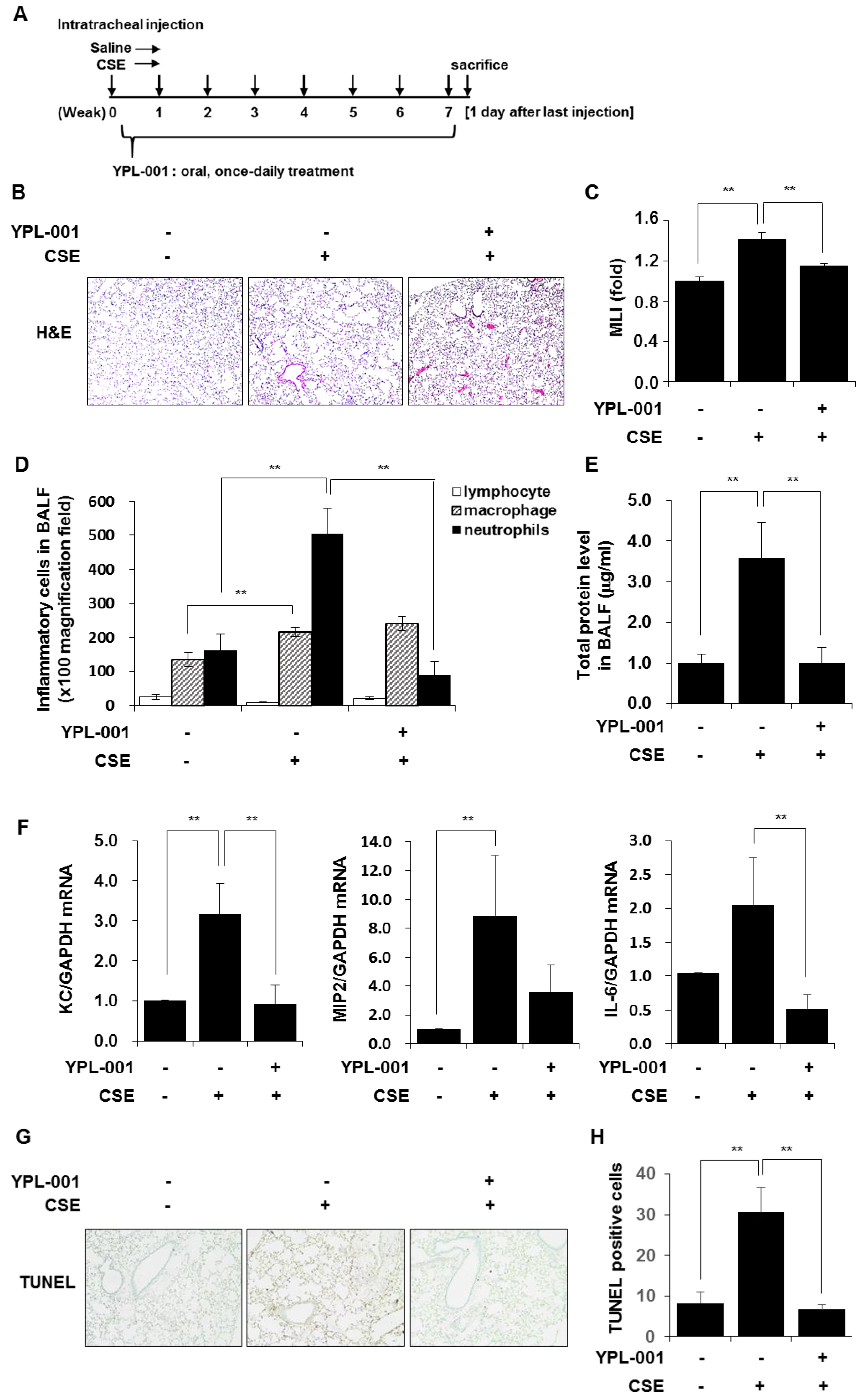 Antioxidants 12 00015 g006